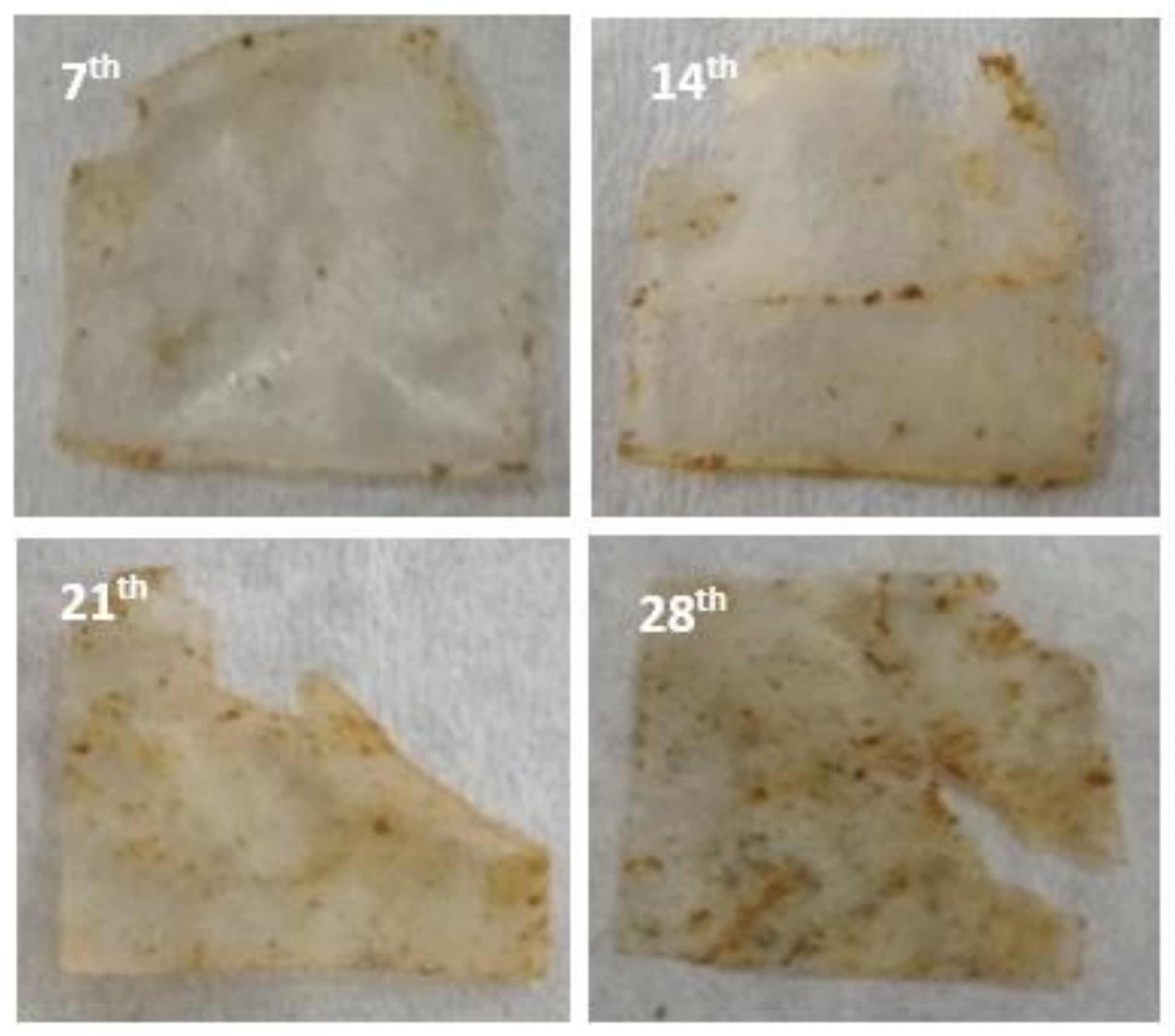 Polymers 11 00004 g002 Polymers 11 00004 g002