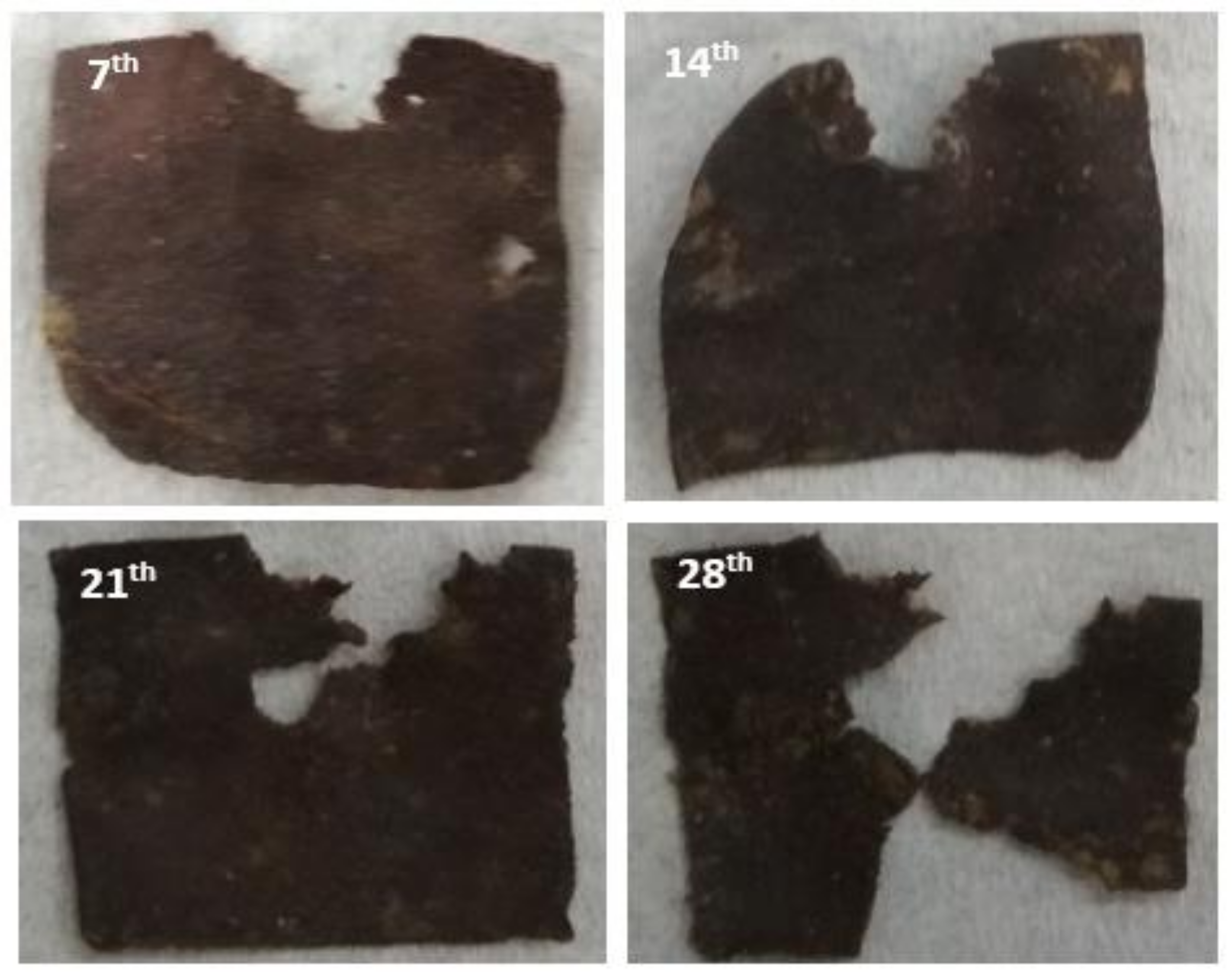 Polymers 11 00004 g004 Polymers 11 00004 g004