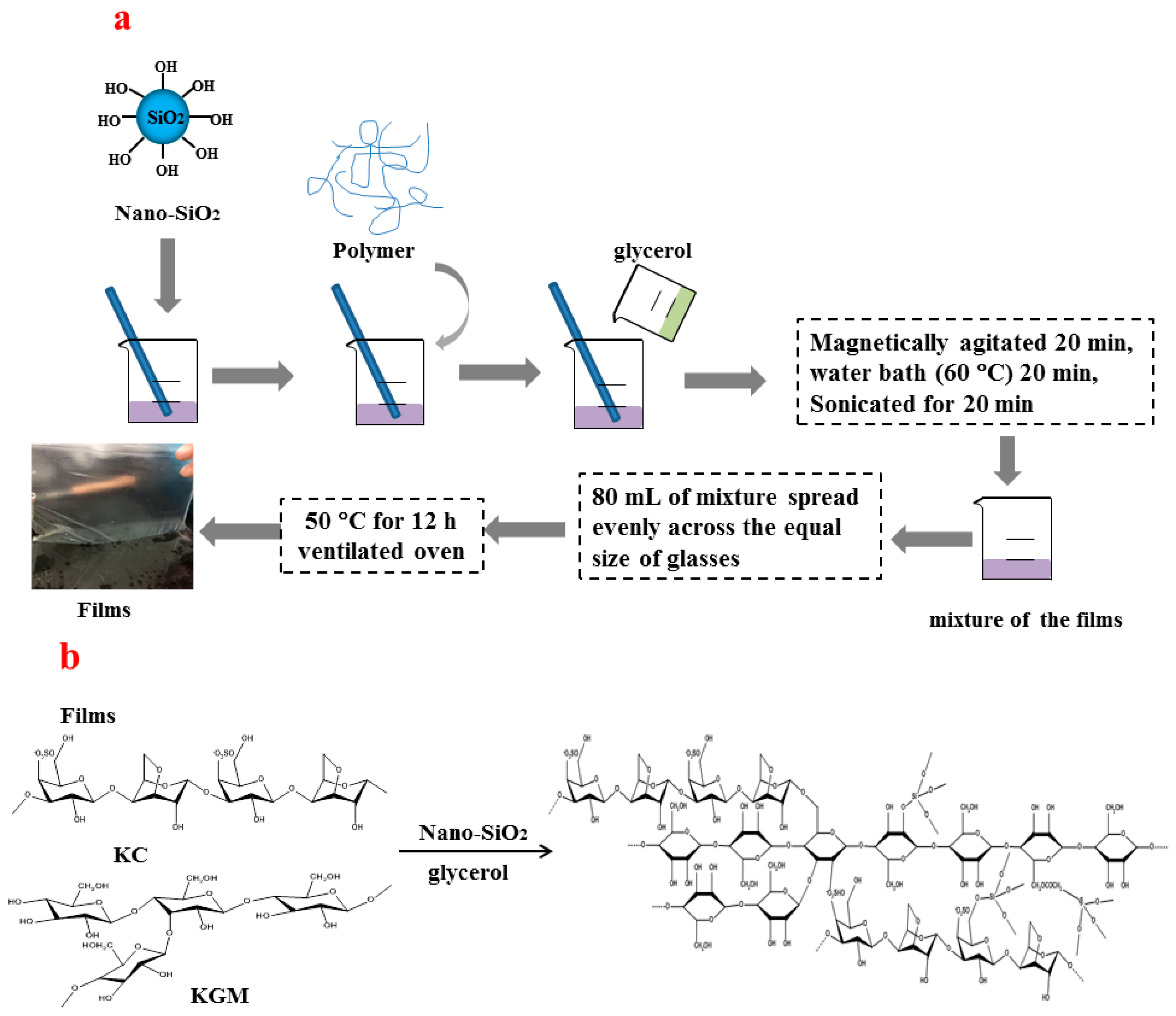 Polymers 11 00006 g001 Polymers 11 00006 g001