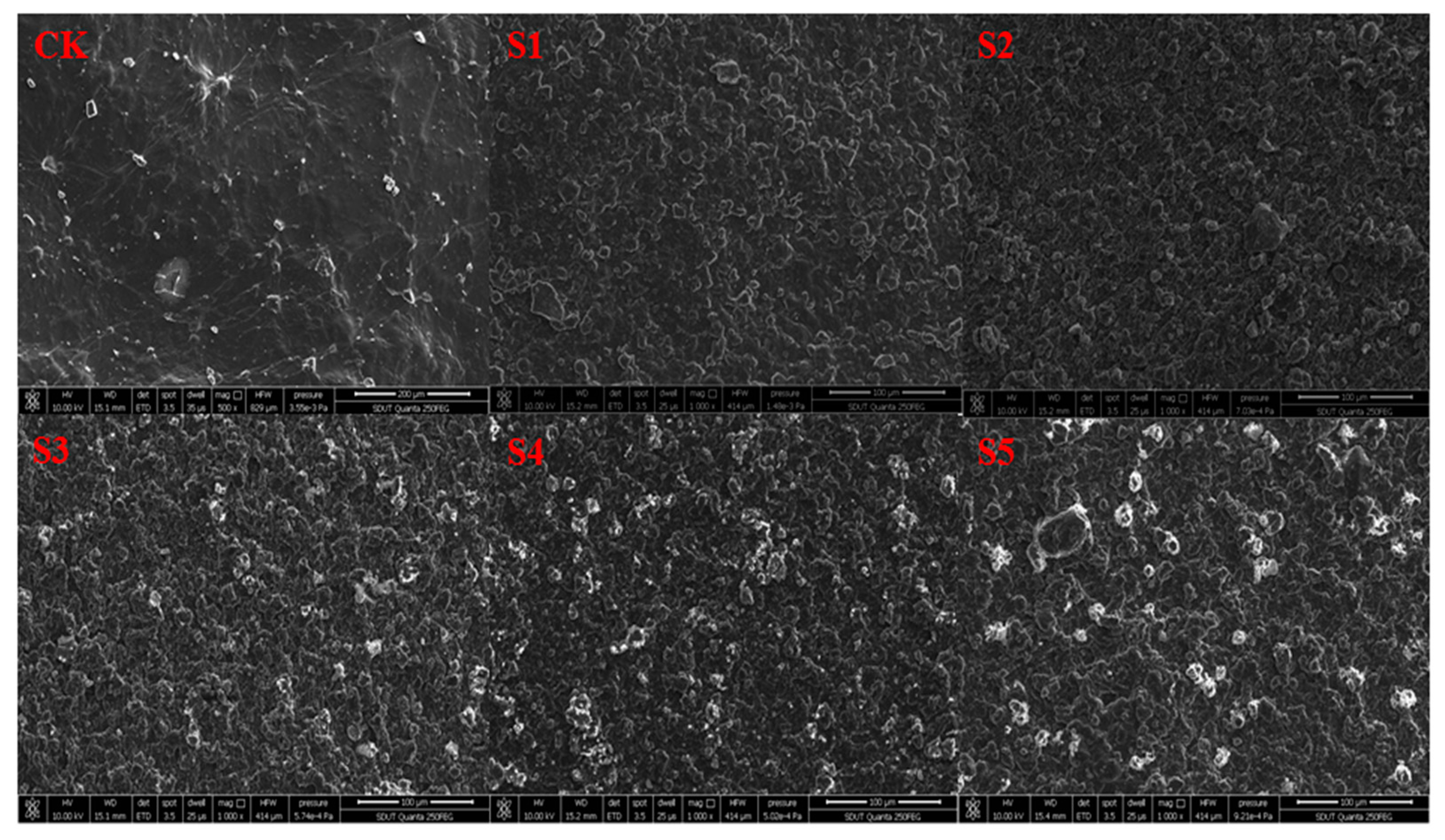 Polymers 11 00006 g004 Polymers 11 00006 g004