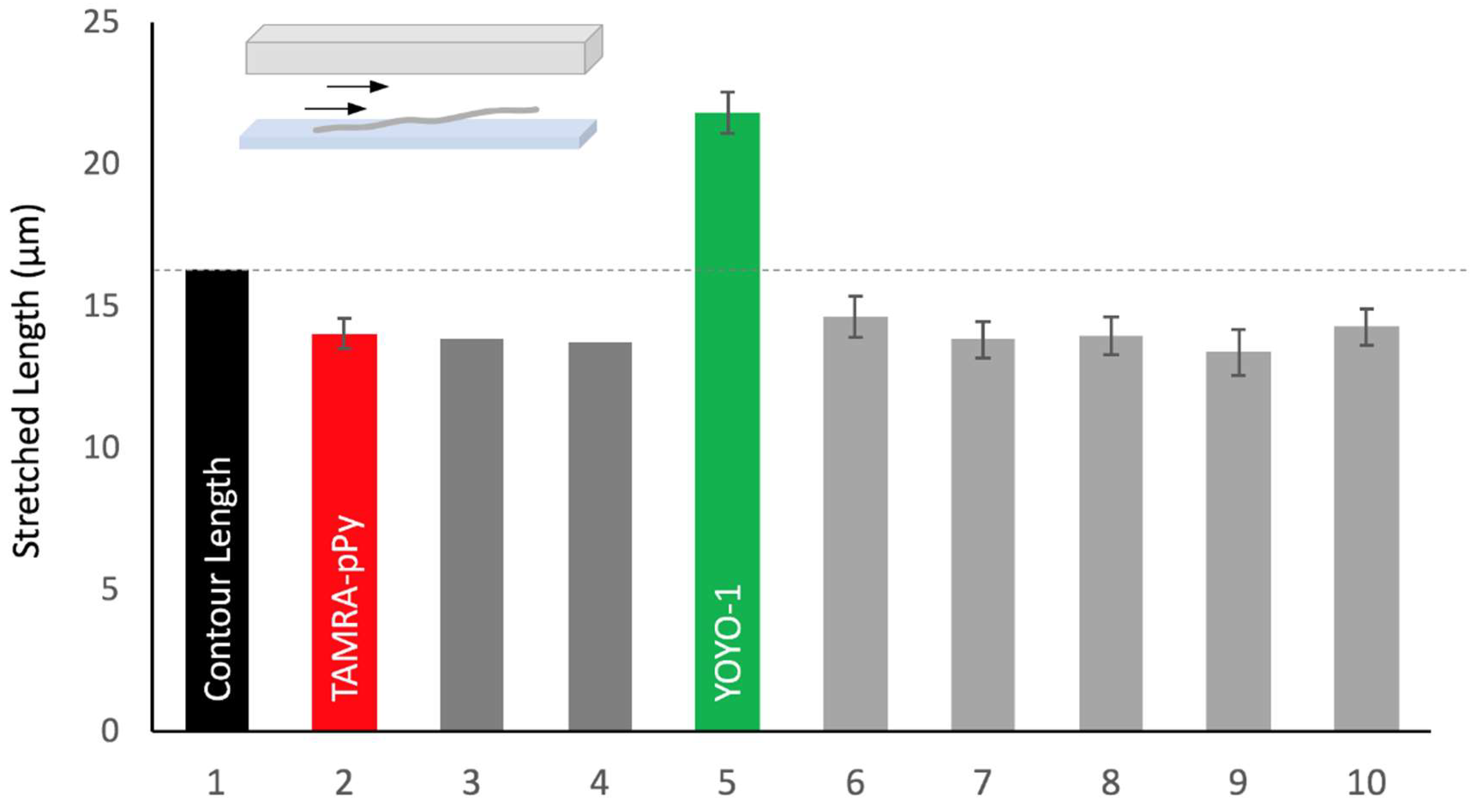 Polymers 11 00015 g001