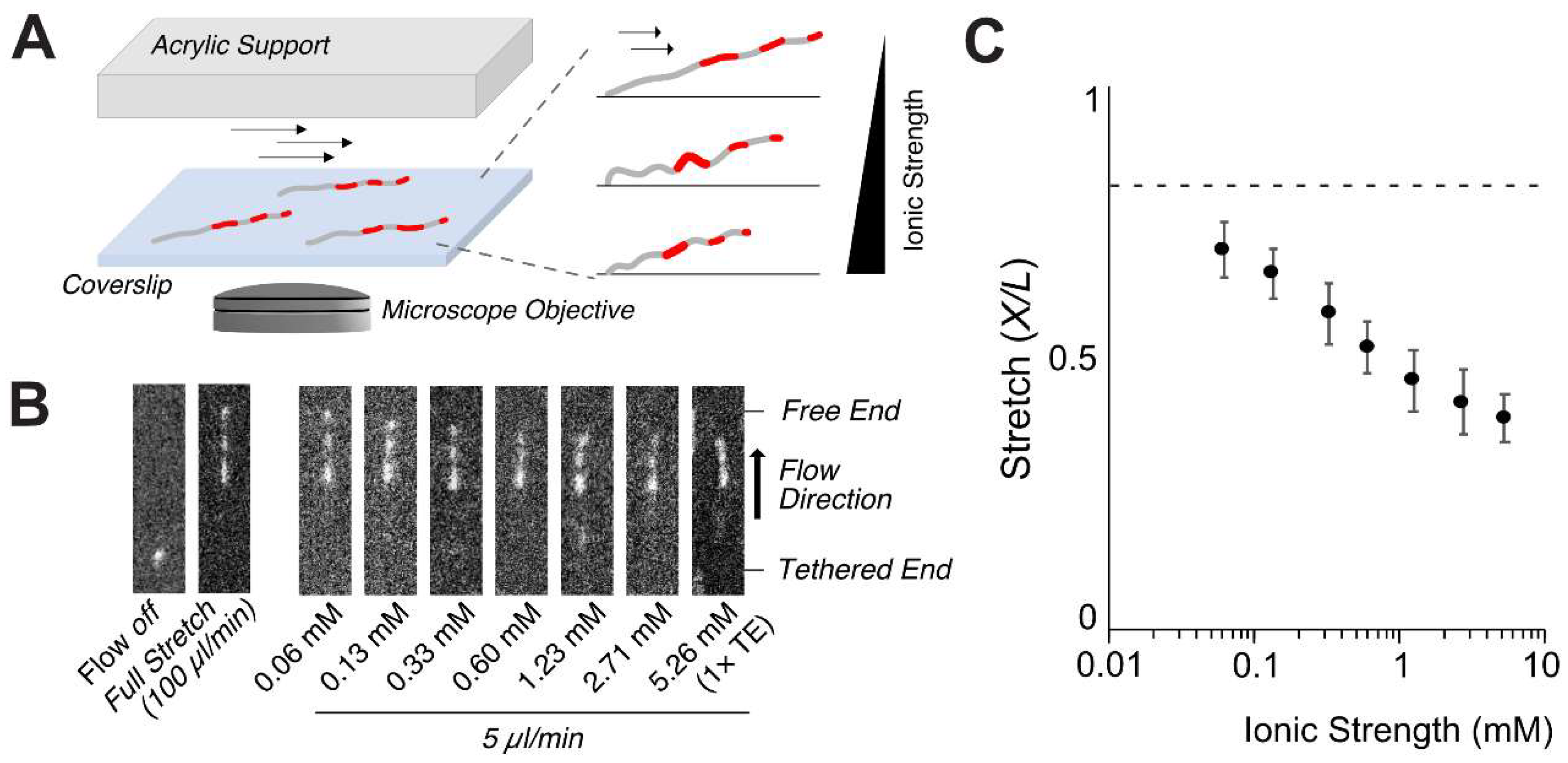 Polymers 11 00015 g002