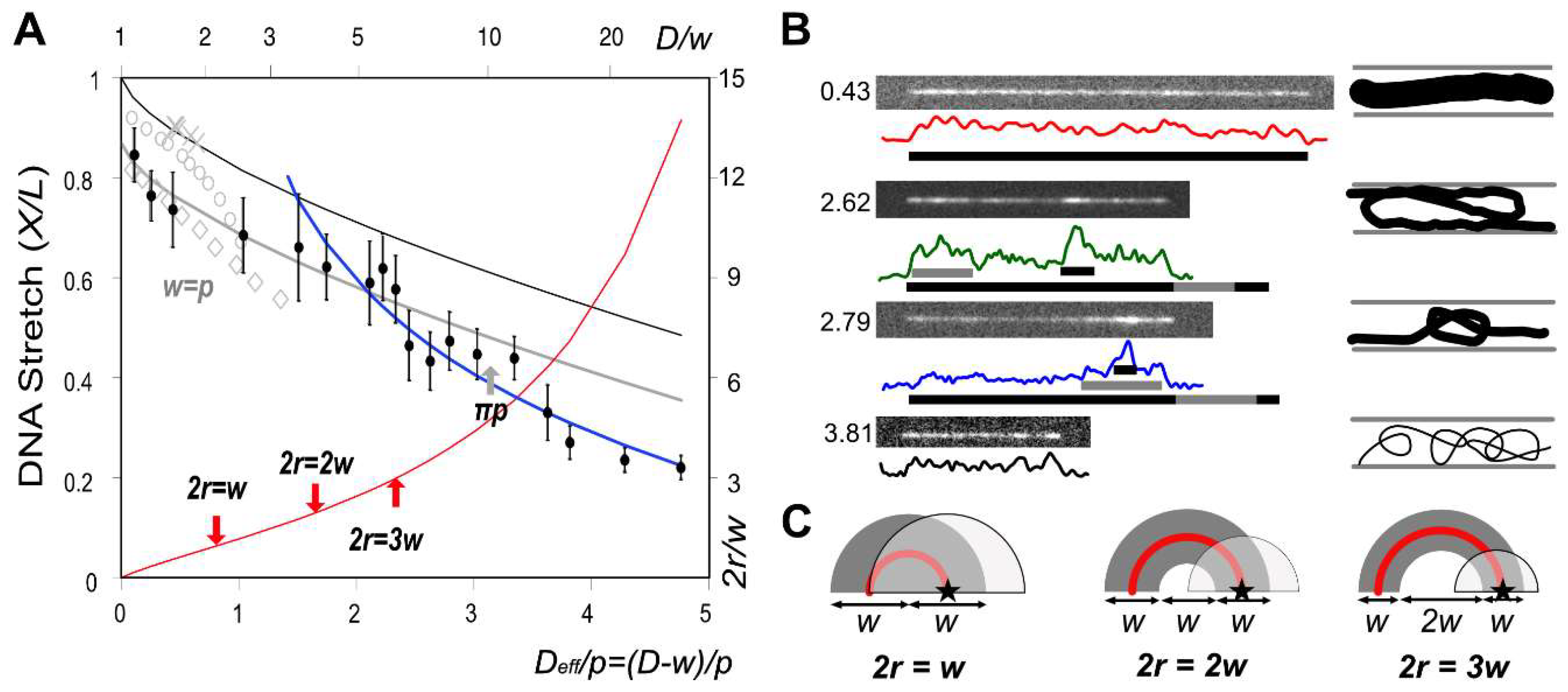 Polymers 11 00015 g005