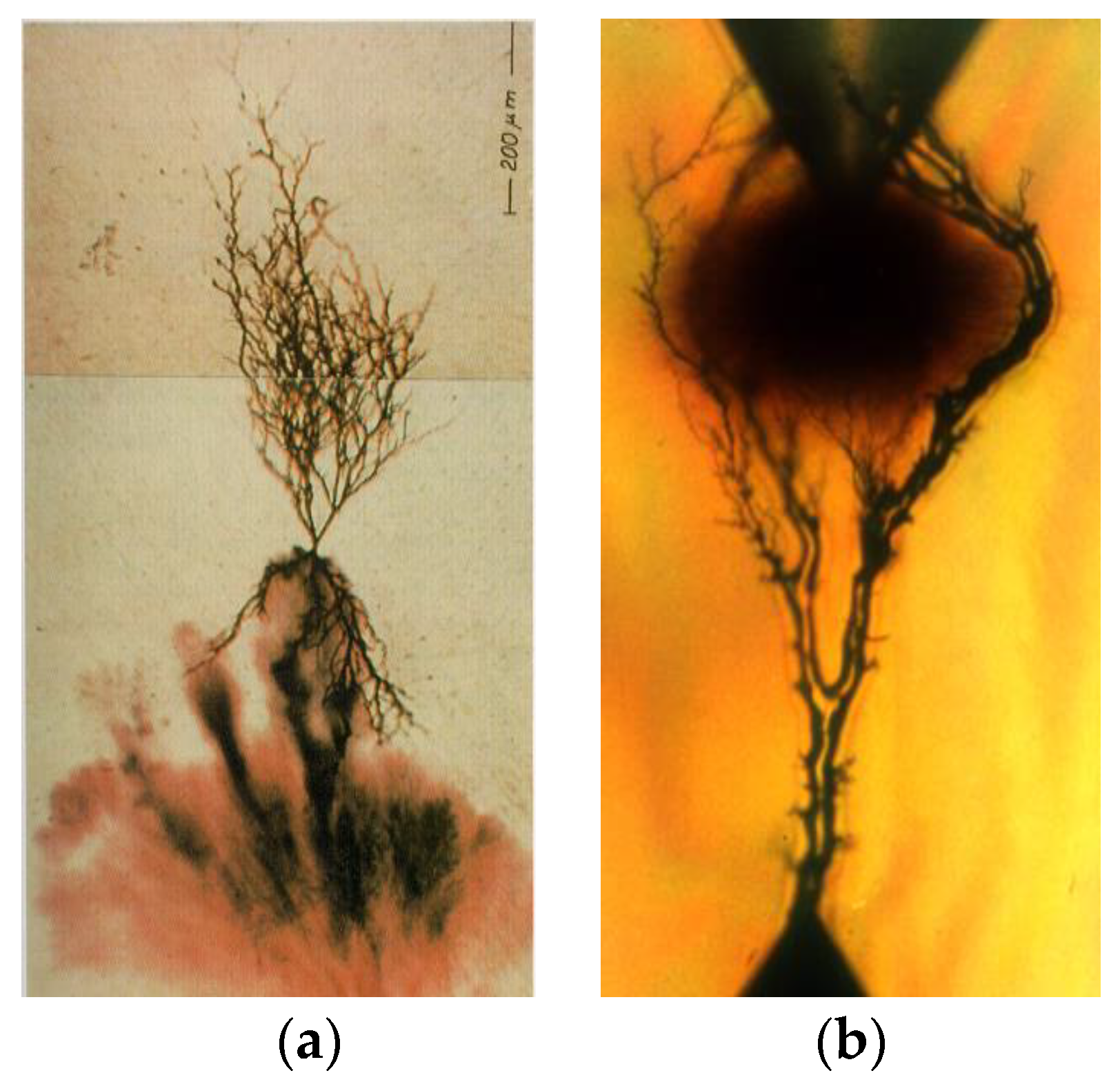 Polymers 11 00024 g033 Polymers 11 00024 g033