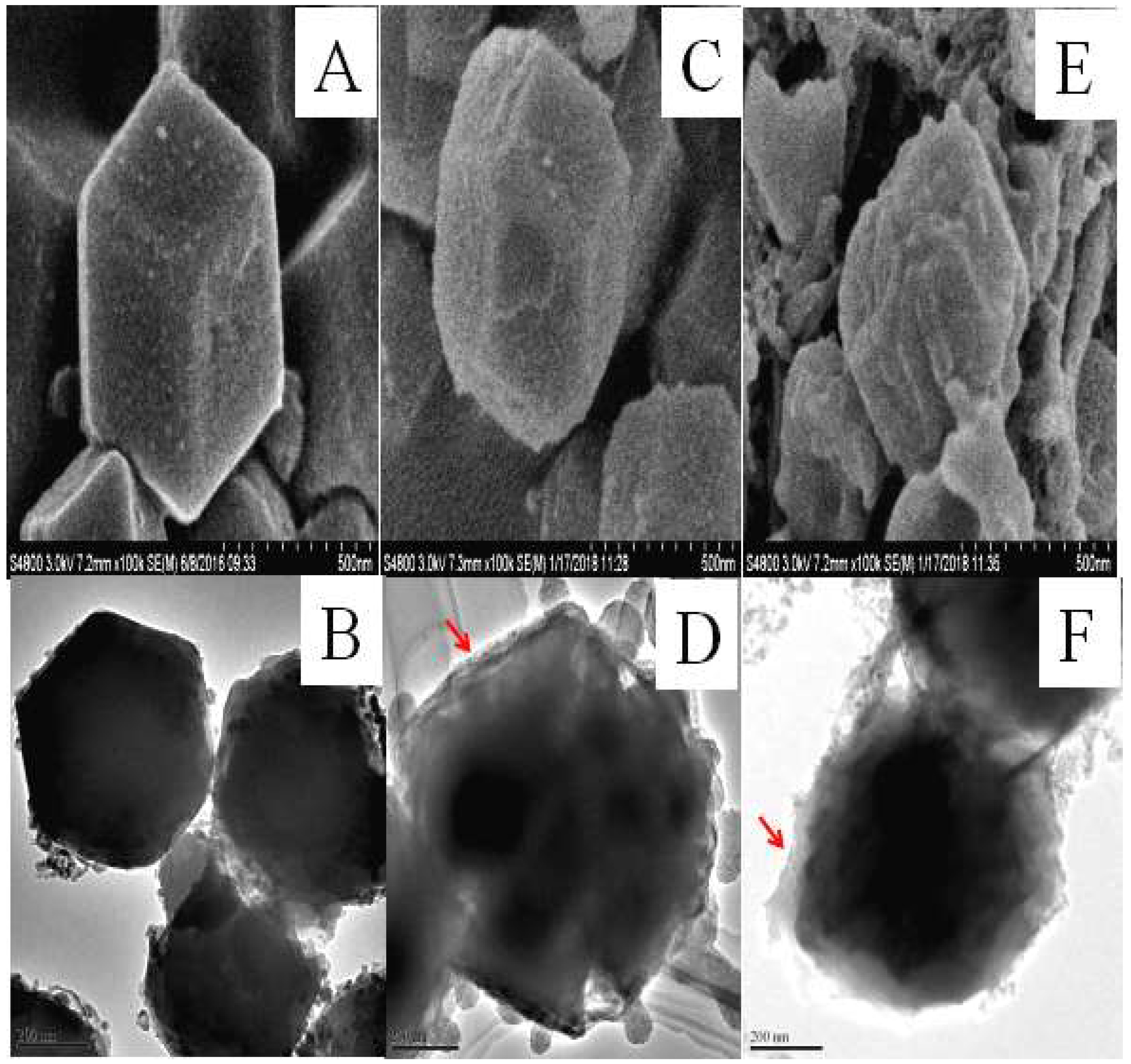 Polymers 11 00027 g002