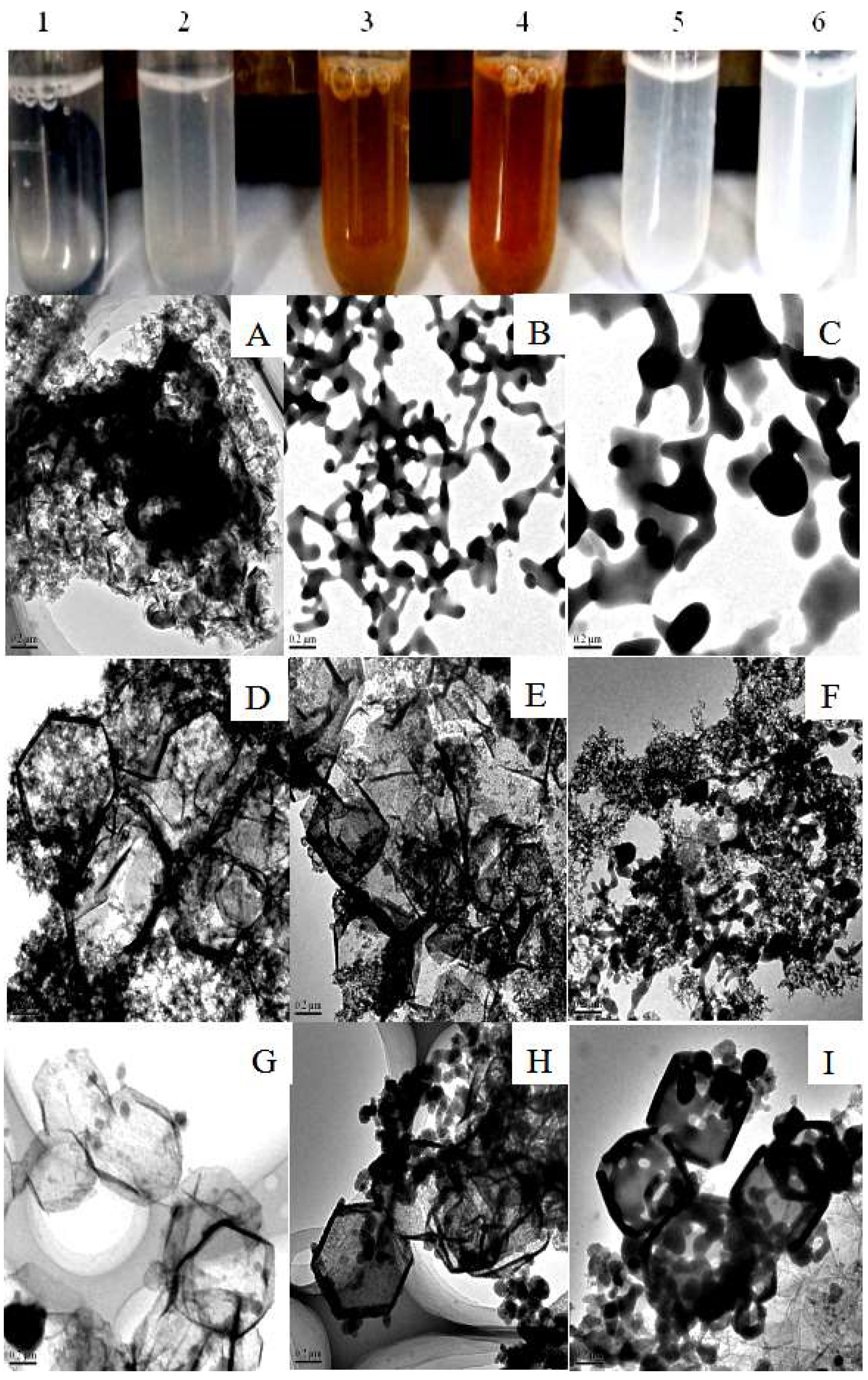 Polymers 11 00027 g007
