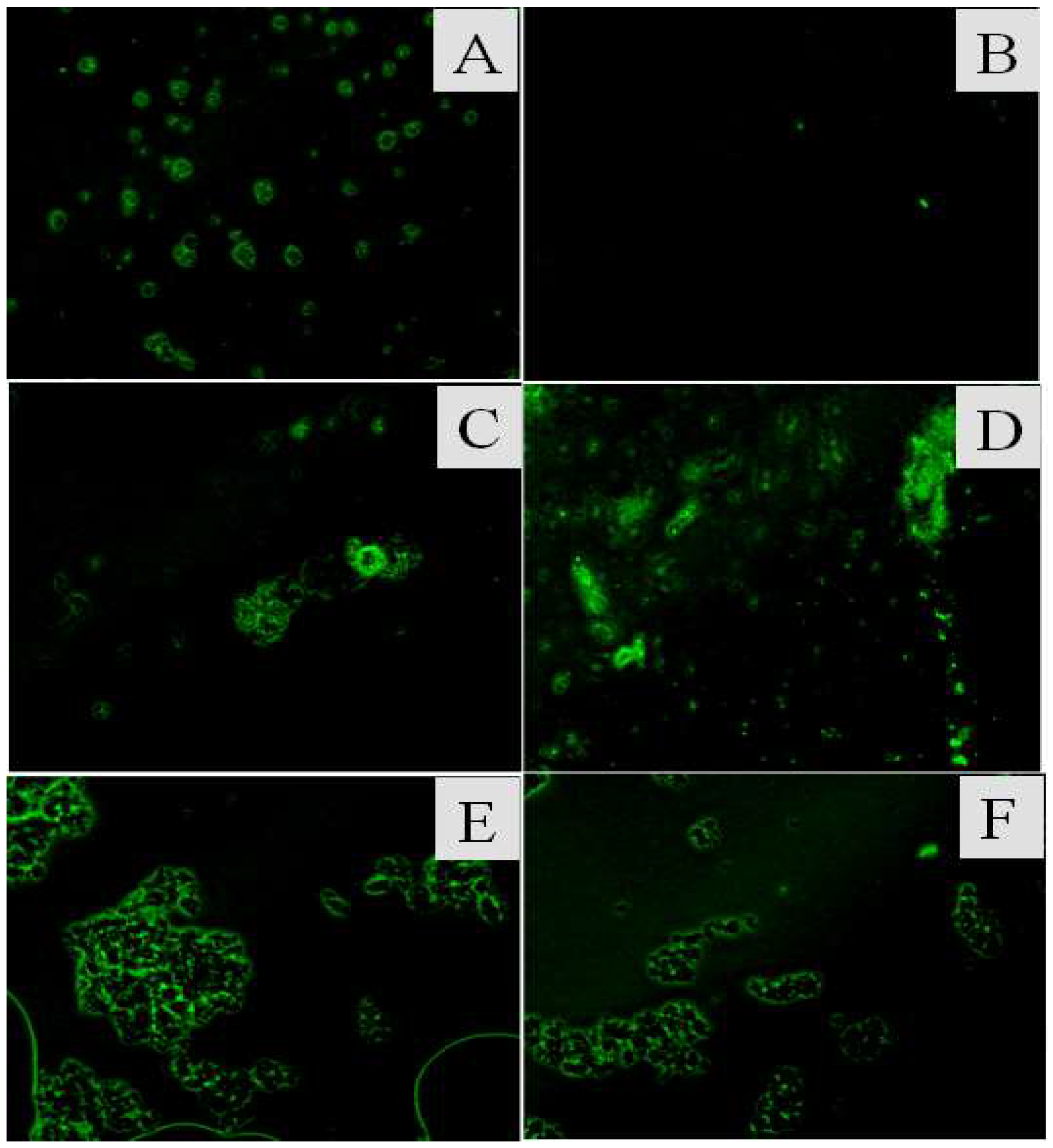 Polymers 11 00027 g009