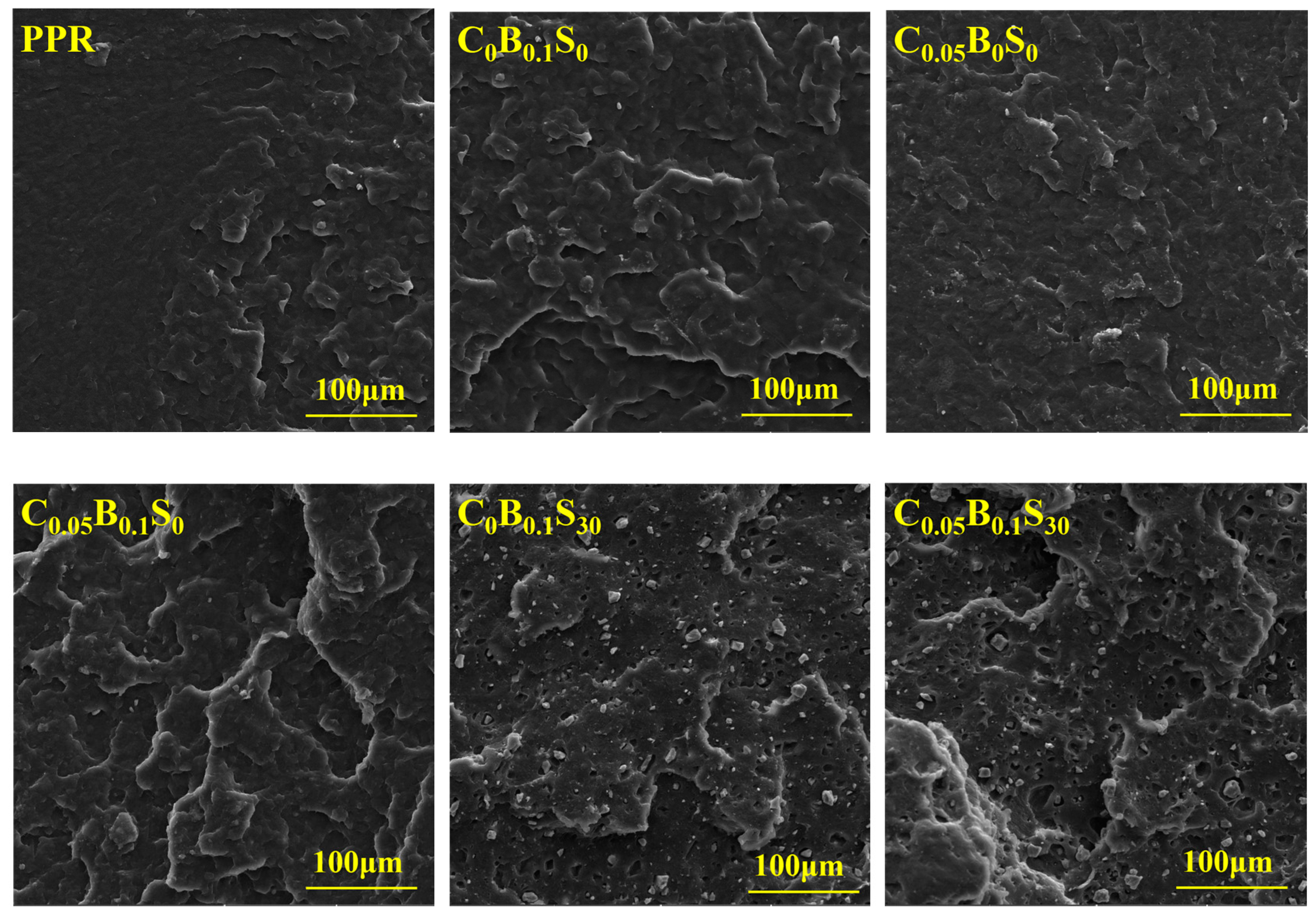 Polymers 11 00029 g007