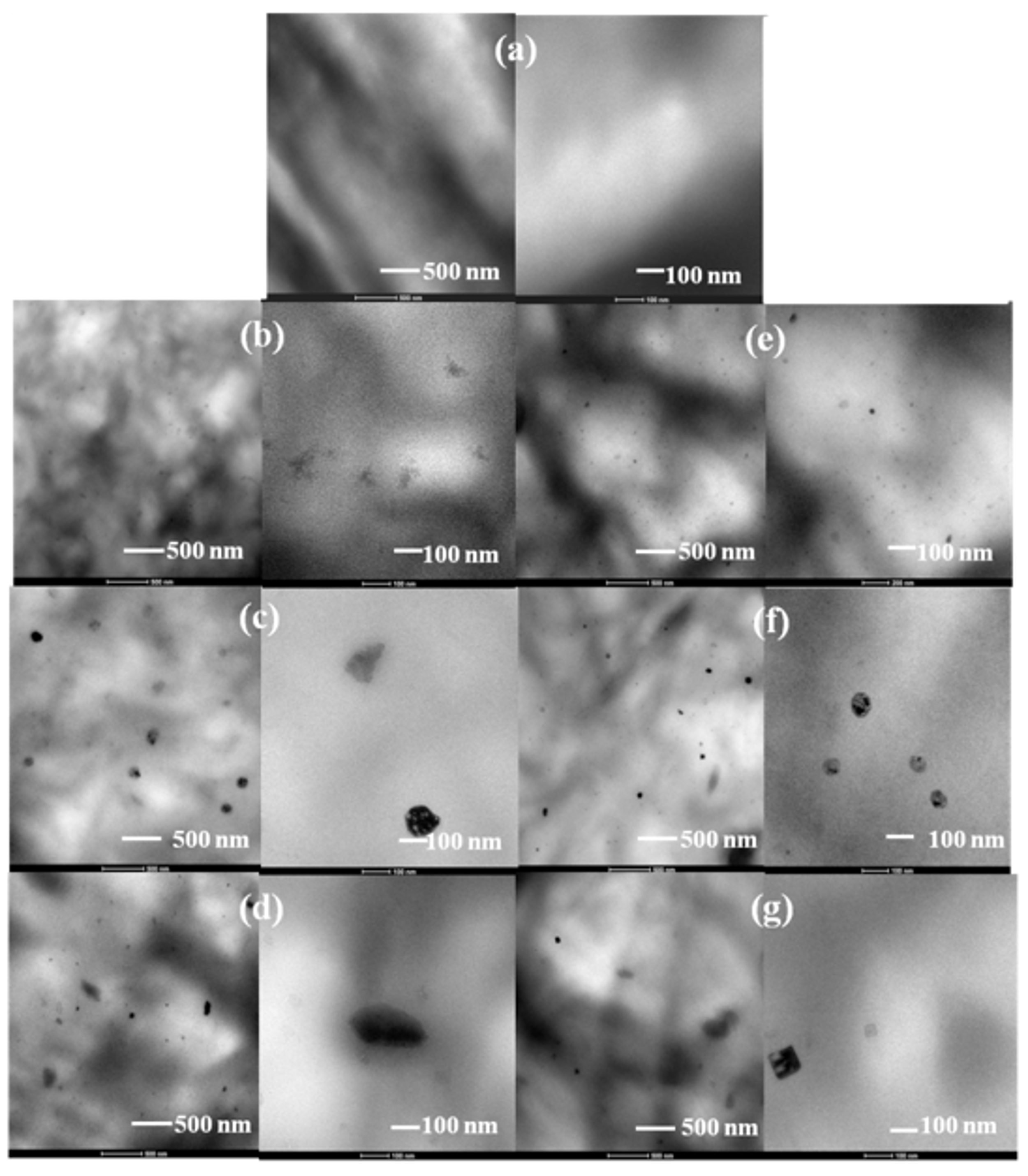 Polymers 11 00033 g006