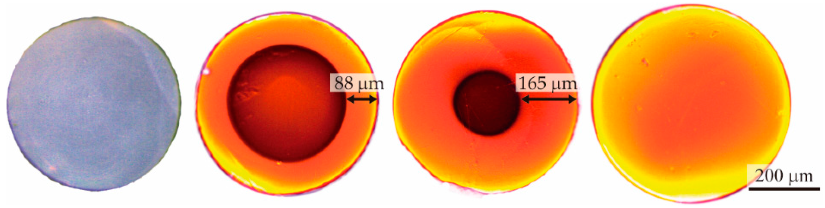 Polymers 11 00052 g002 Polymers 11 00052 g002