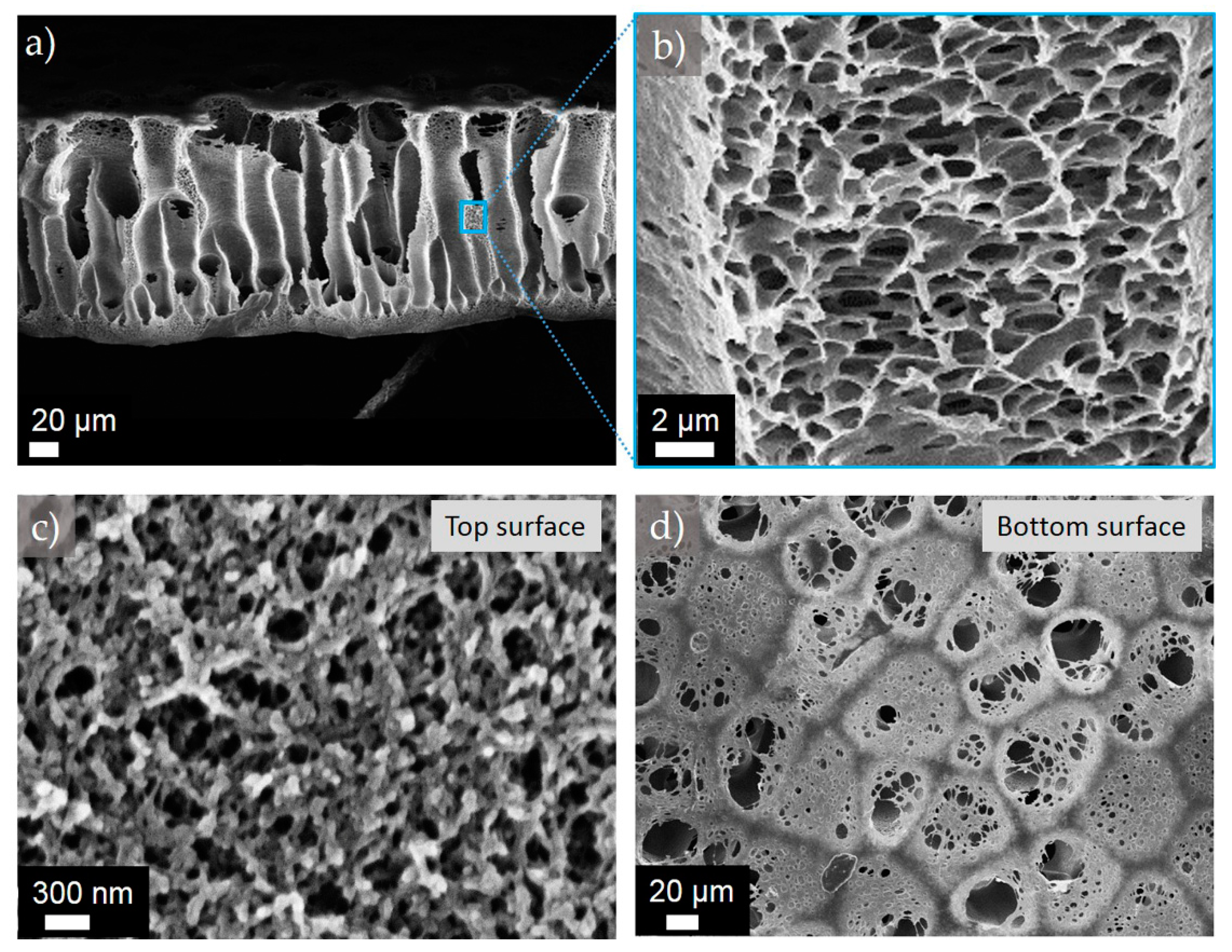 Polymers 11 00059 g005