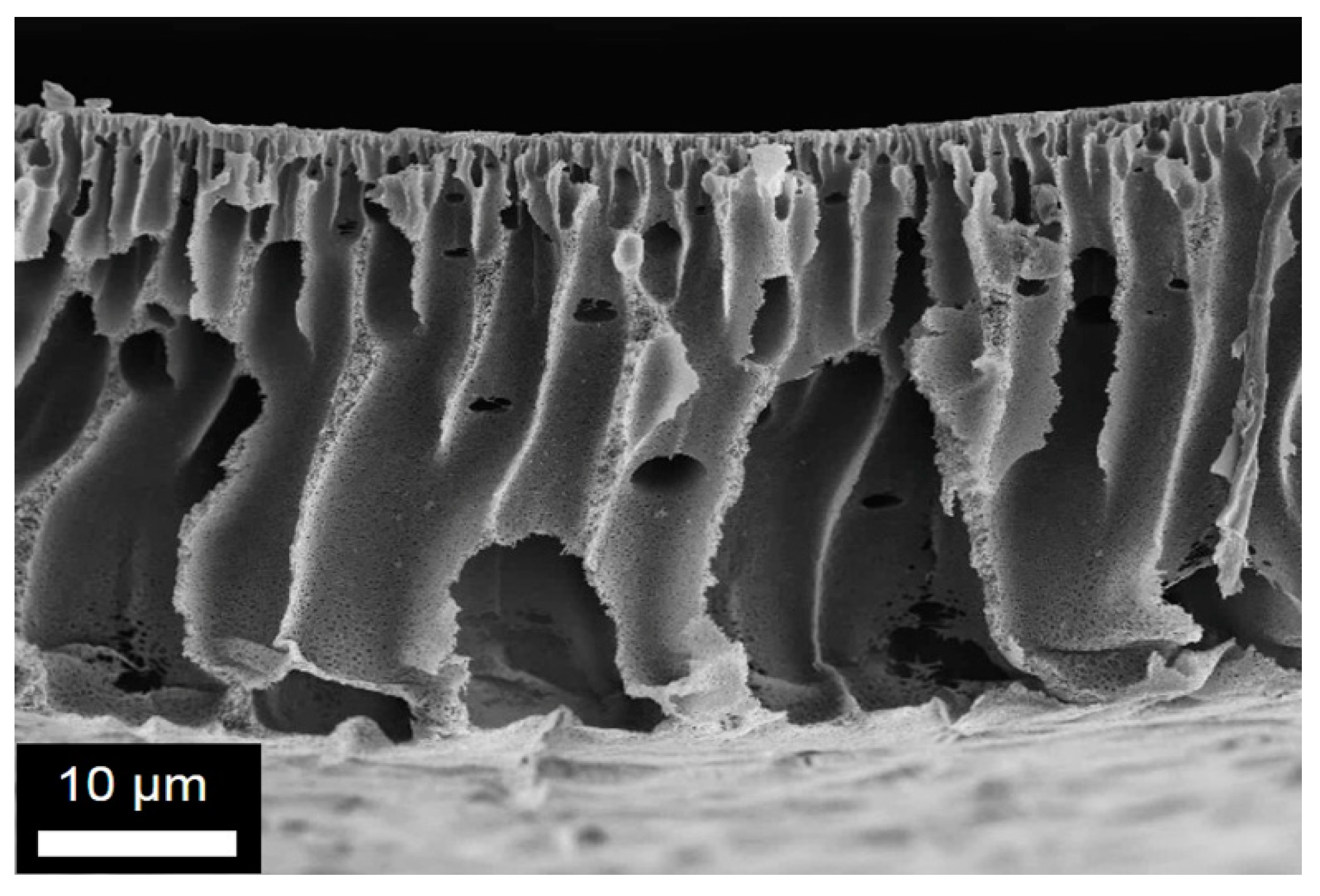 Polymers 11 00059 g009