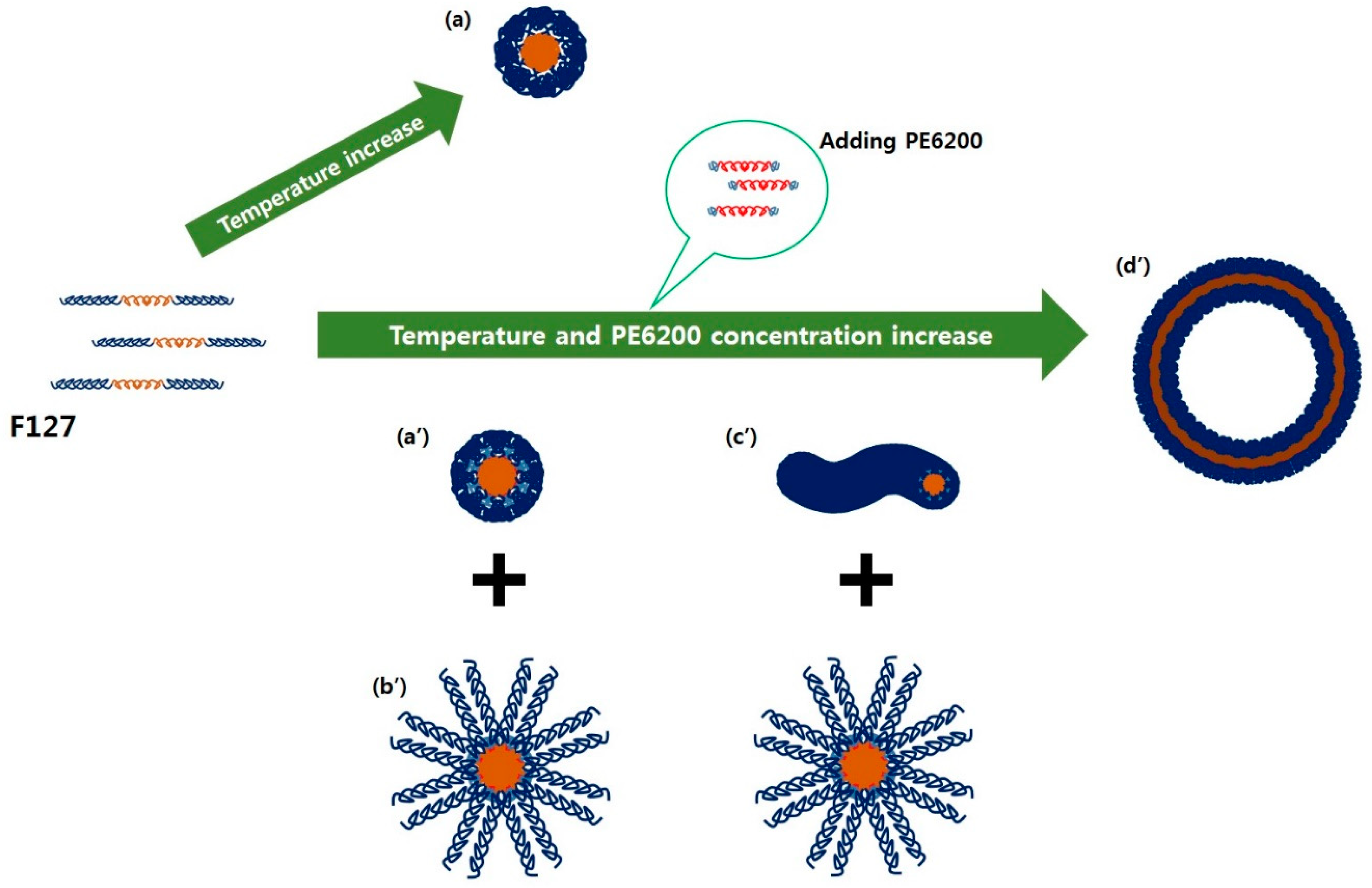 Polymers 11 00063 g004 Polymers 11 00063 g004