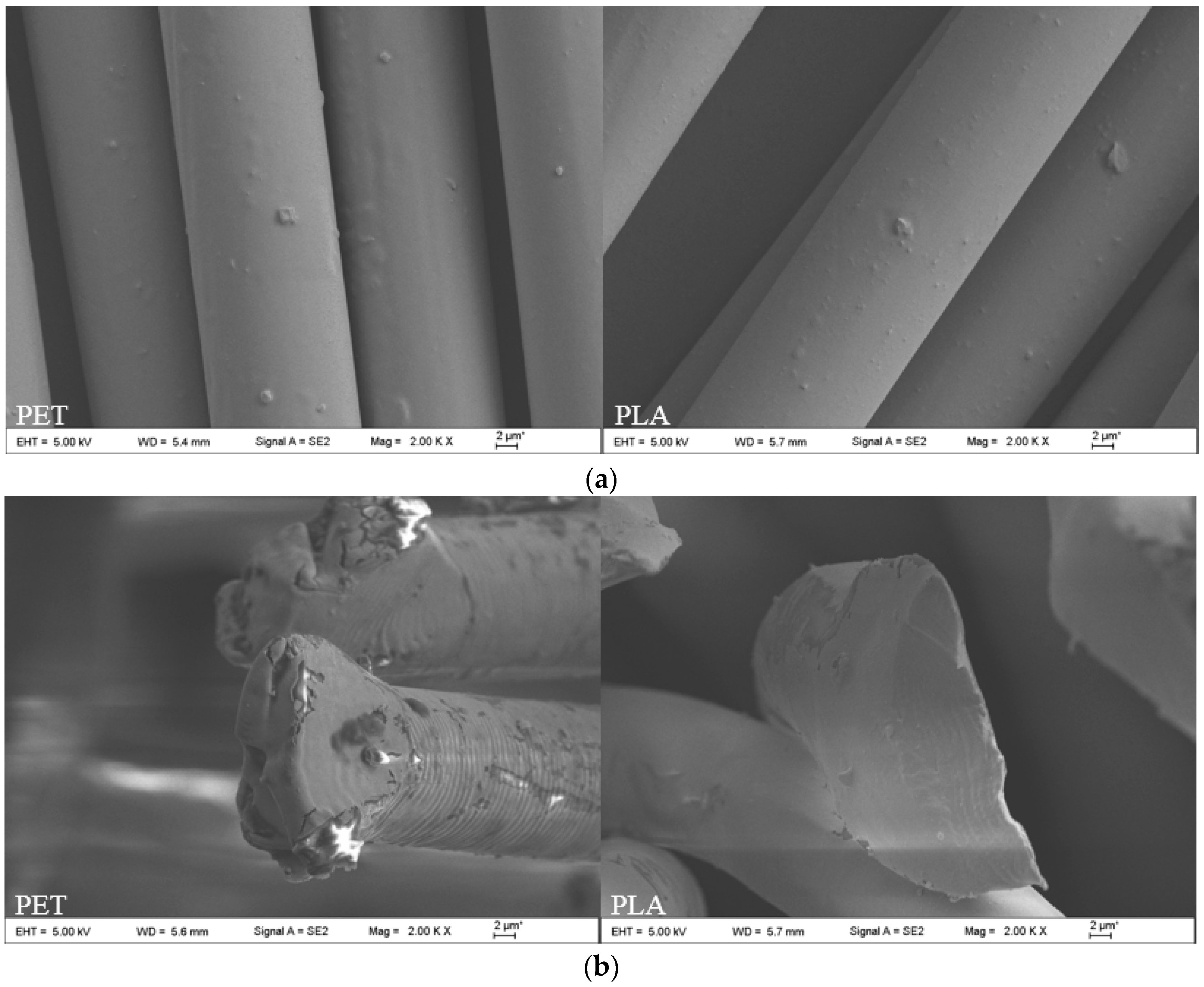 Polymers 11 00065 g005