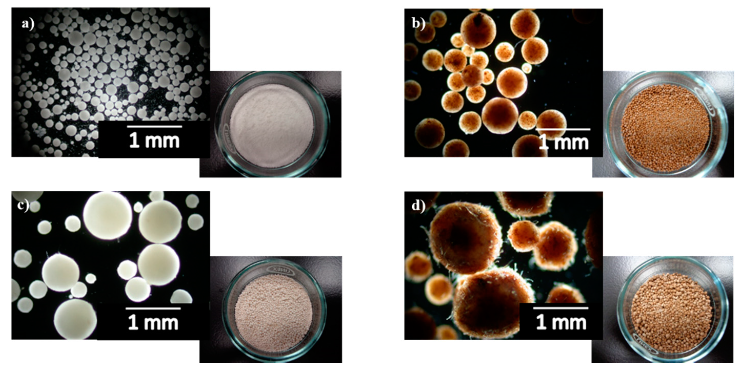 Polymers 11 00066 g002 Polymers 11 00066 g002