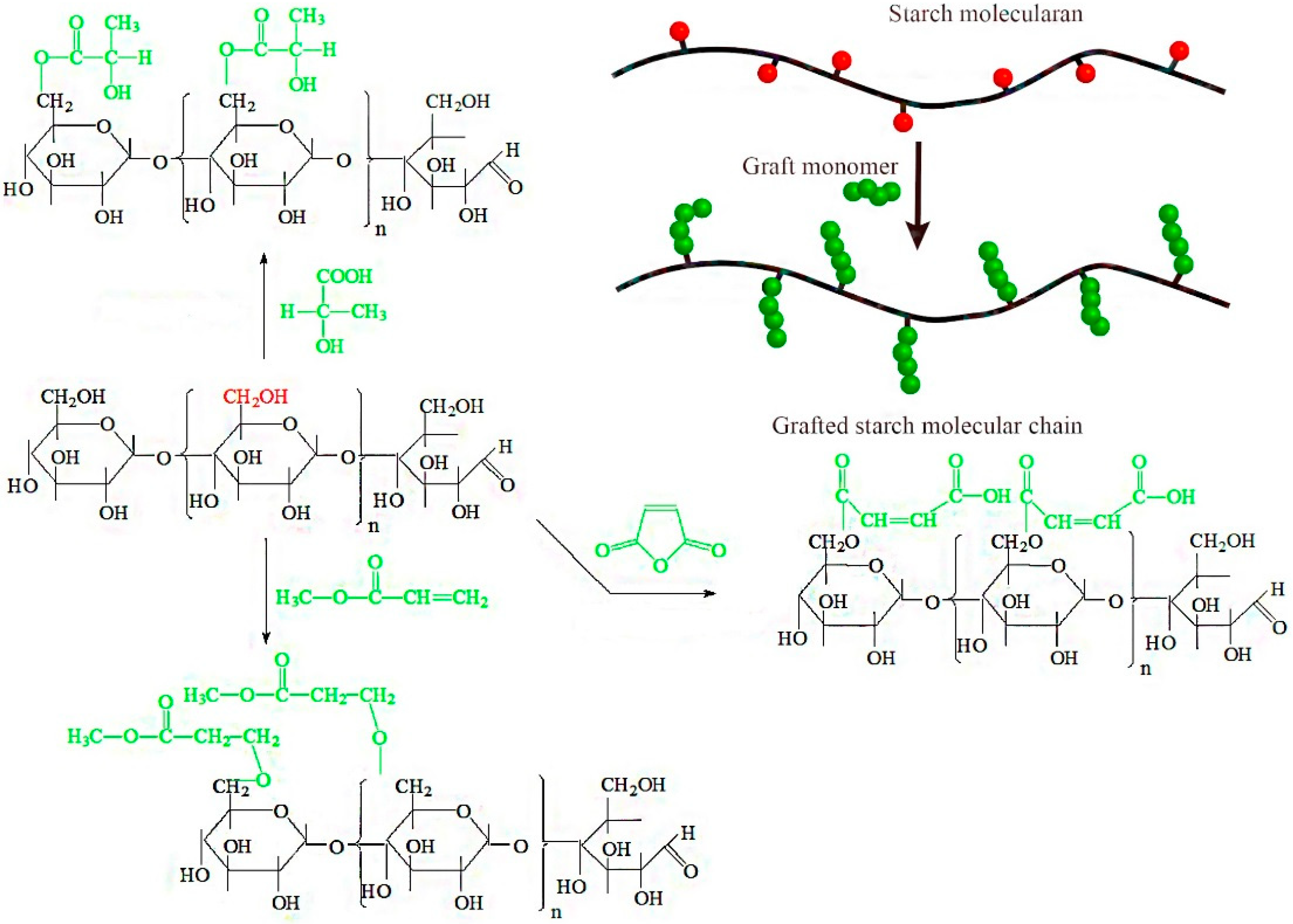 Polymers 11 00072 g001 550