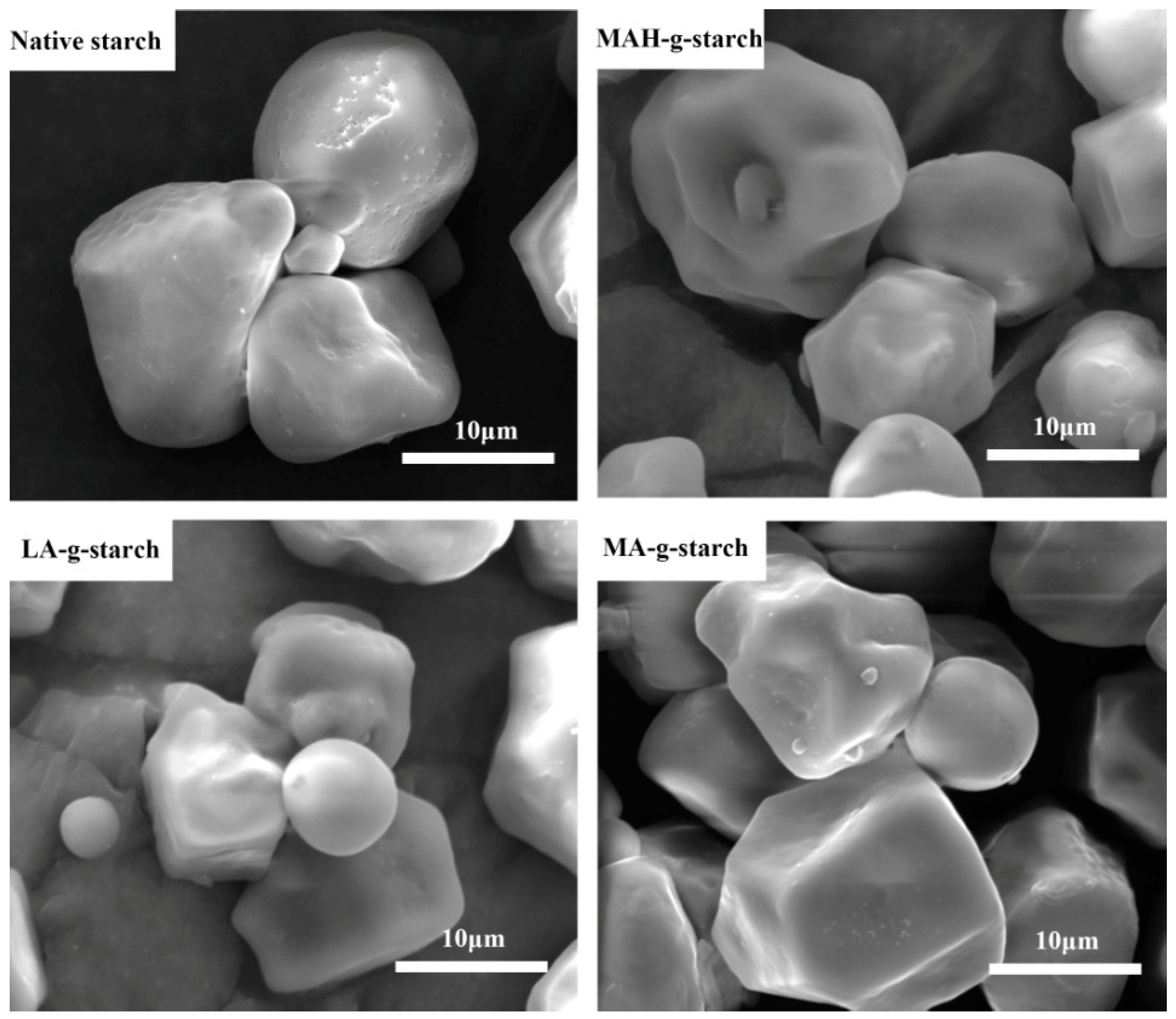 Polymers 11 00072 g006 550