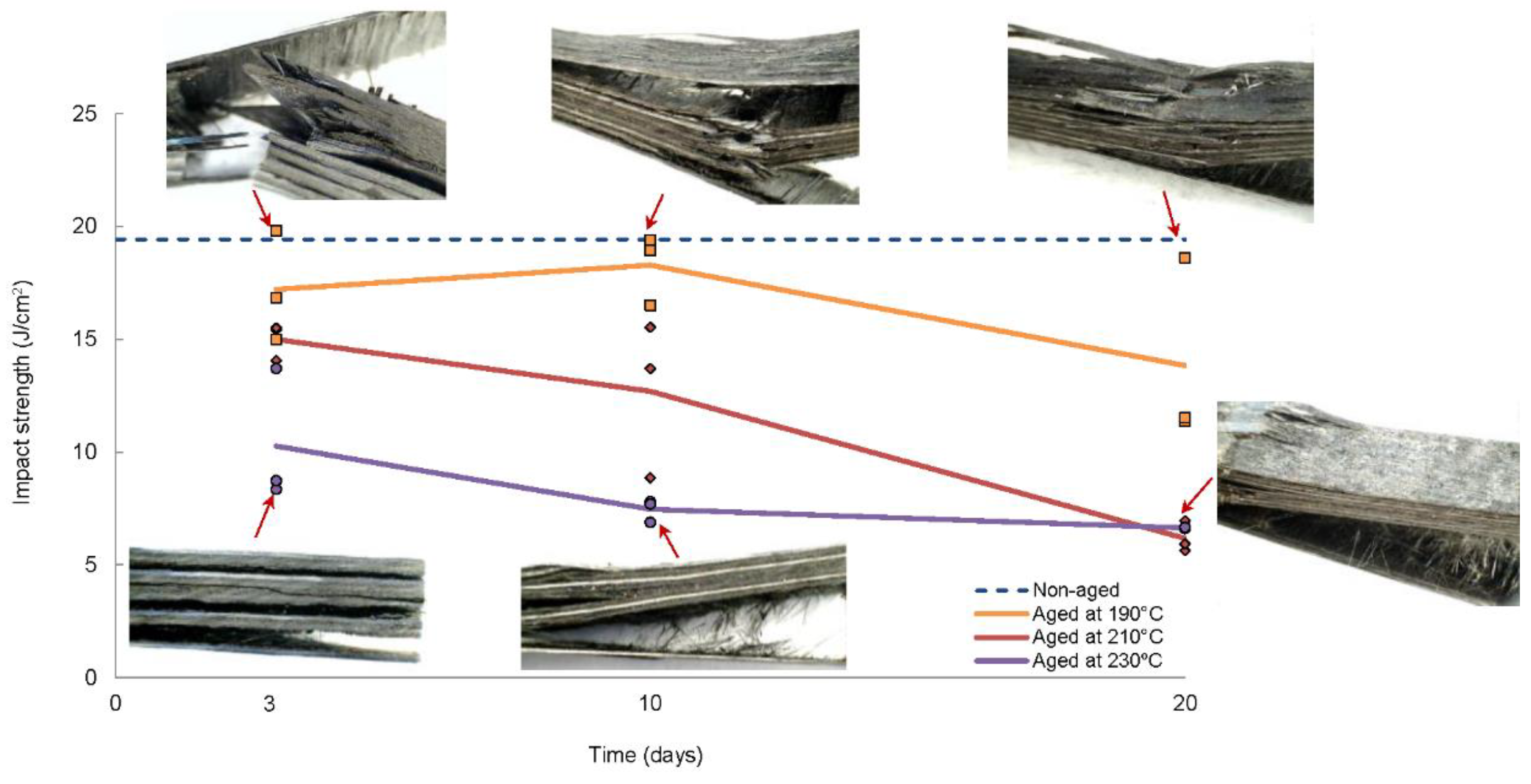 Polymers Free FullText Effect of Thermal Ageing on the Impact and