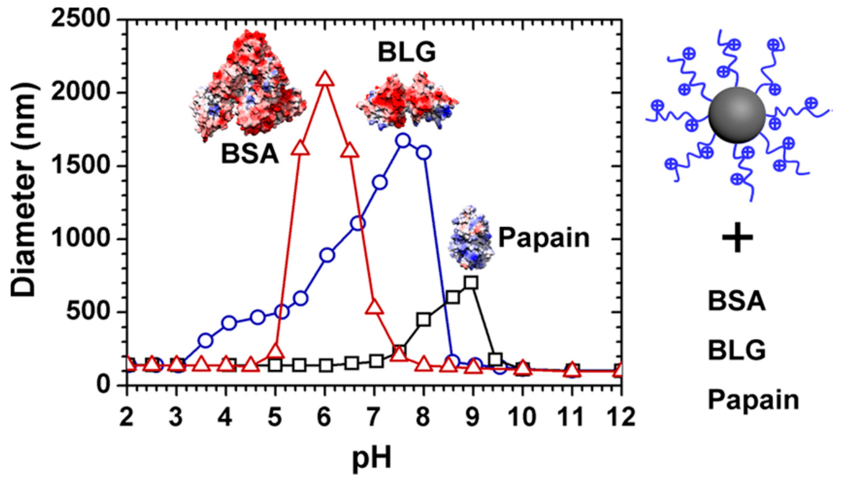 Polymers Free FullText ProteinPolyelectrolyte Interaction