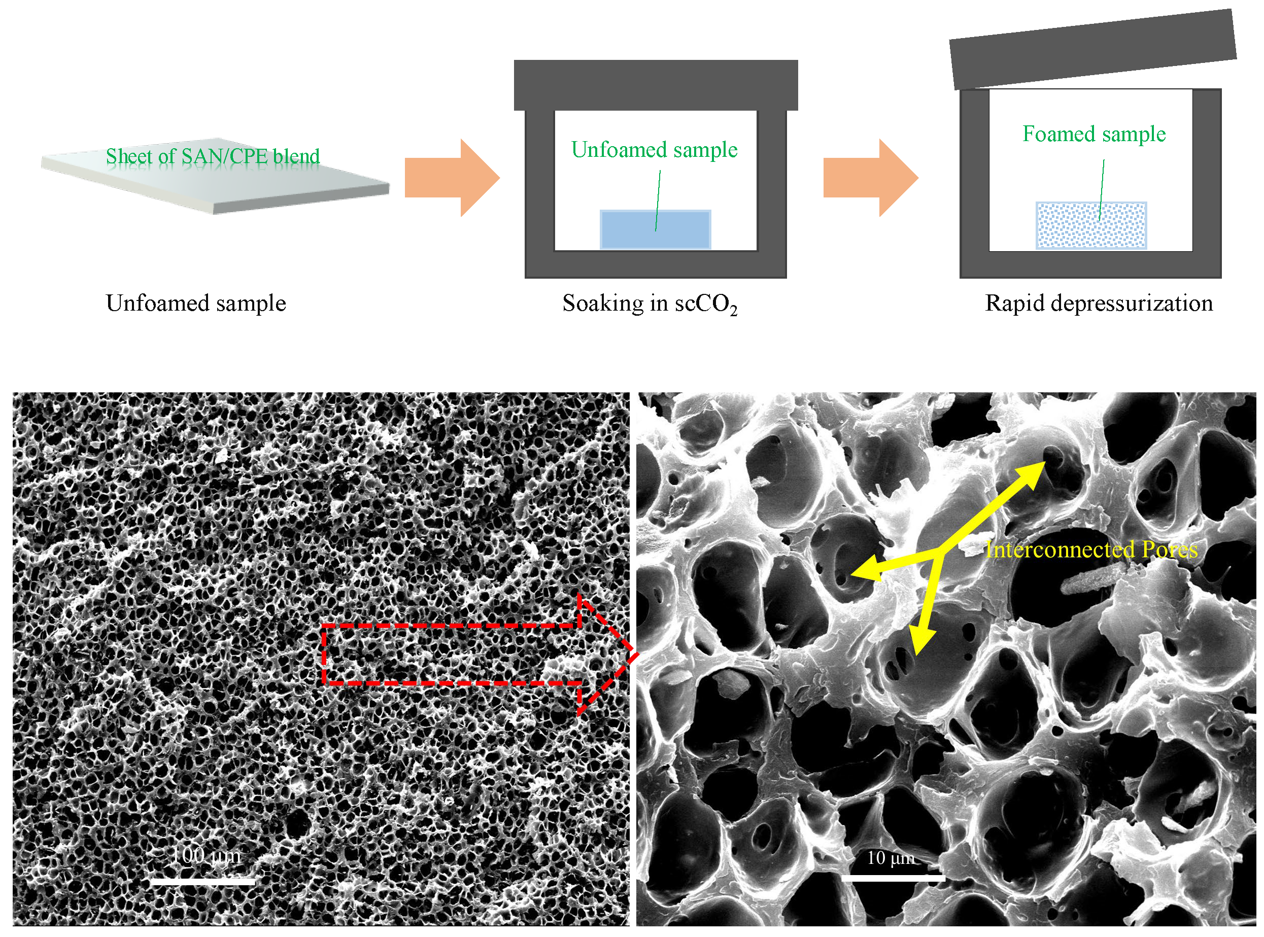 Behavior Free ... Full-Text | and Polymers Foaming |