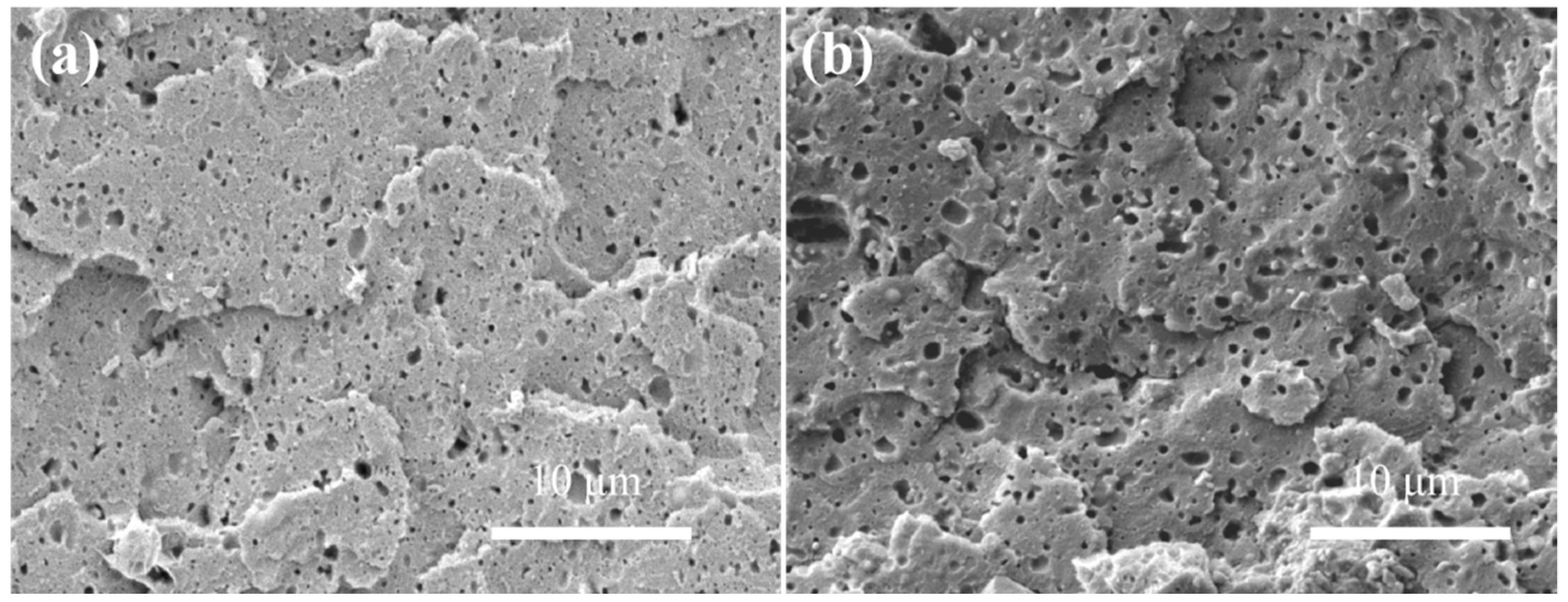Polymers 11 00089 g003 Polymers 11 00089 g003