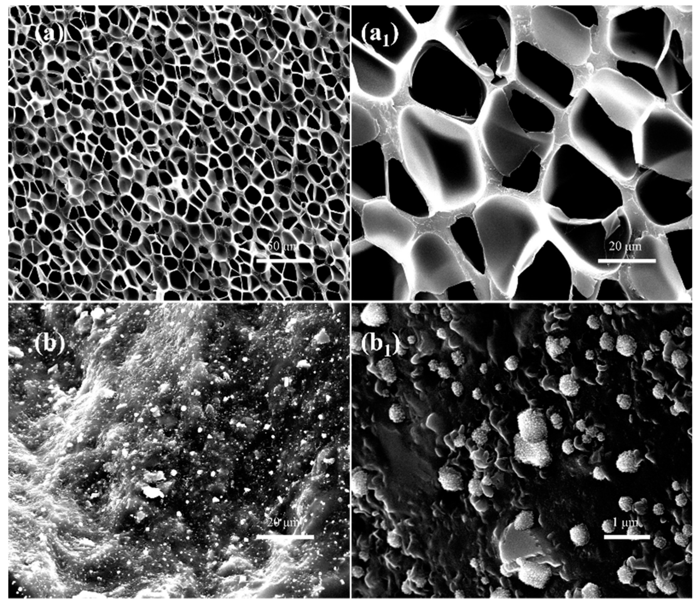 Polymers 11 00089 g005 Polymers 11 00089 g005