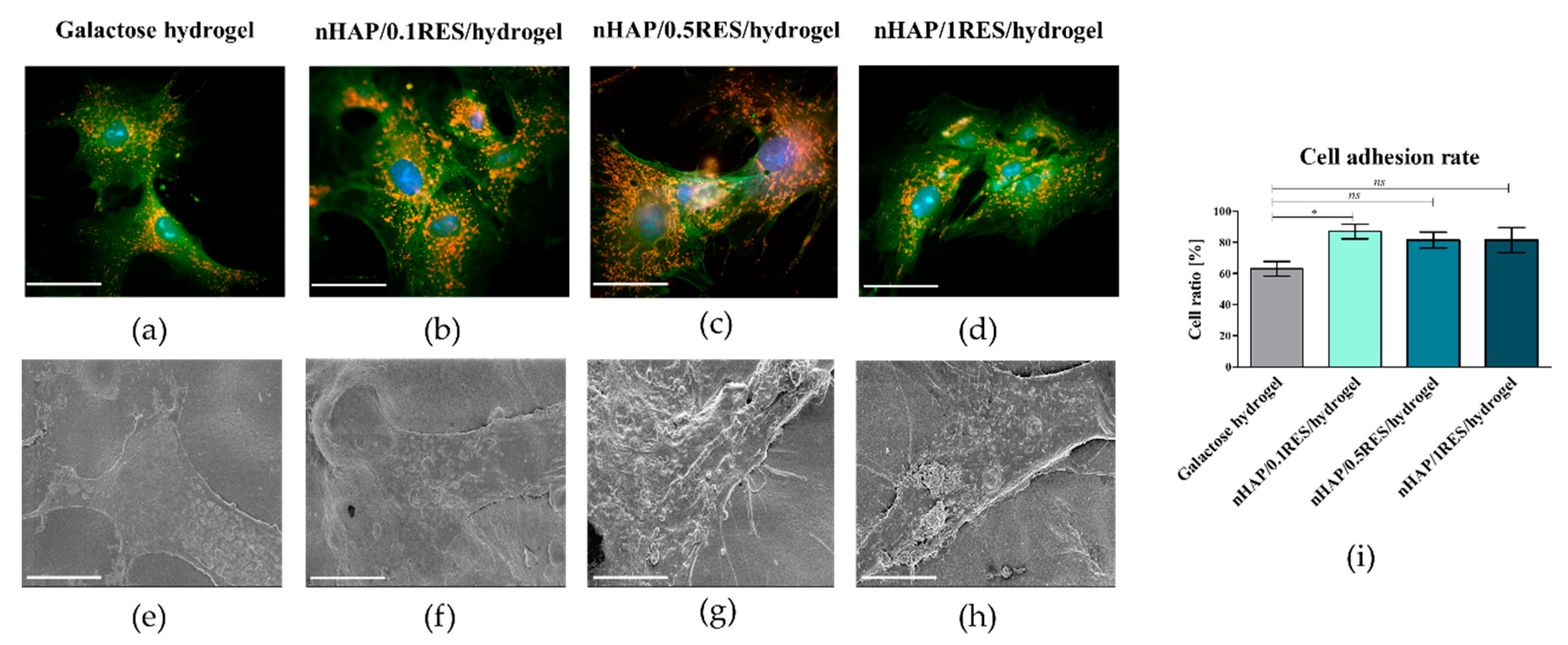 Polymers 11 00092 g008 Polymers 11 00092 g008
