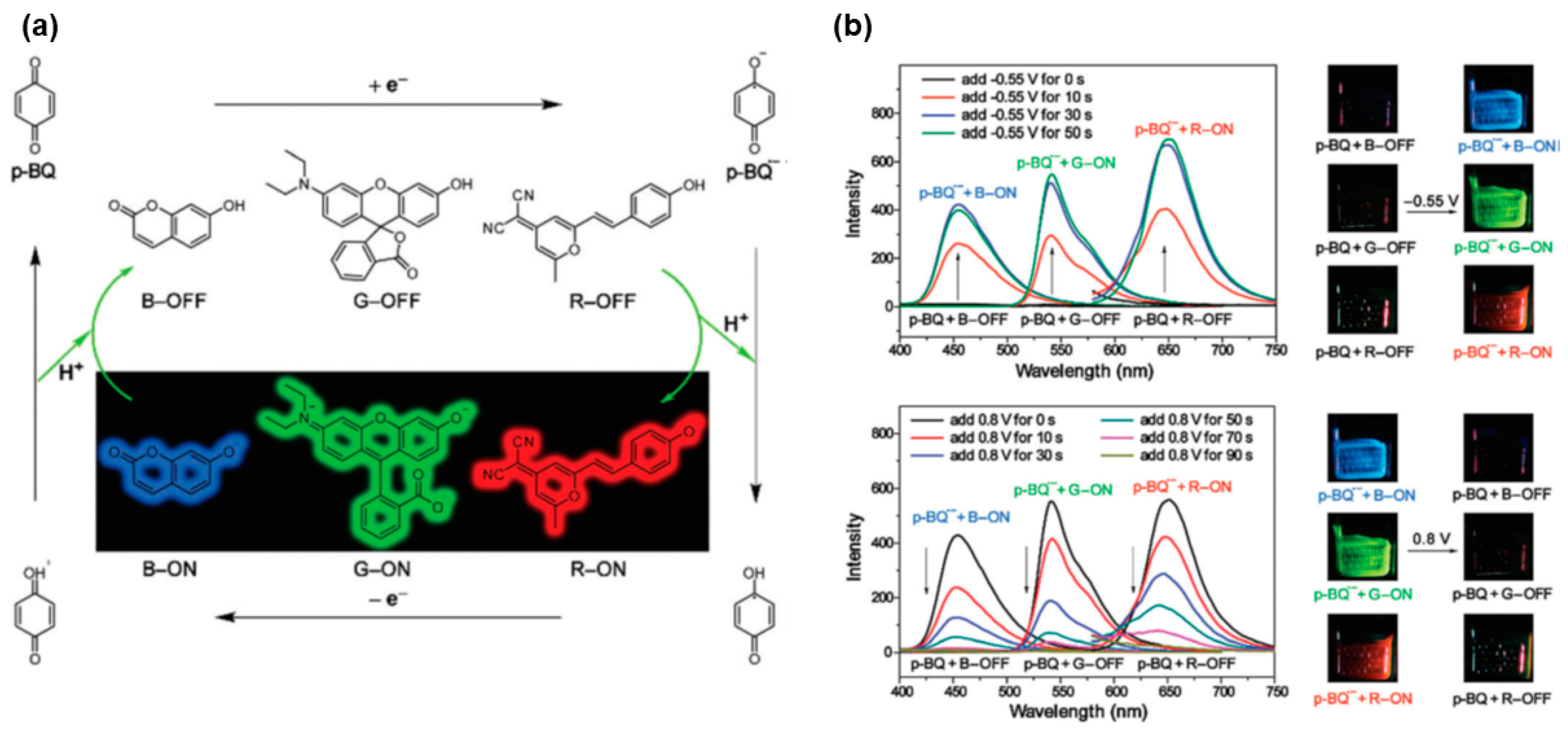 Polymers 11 00098 g003