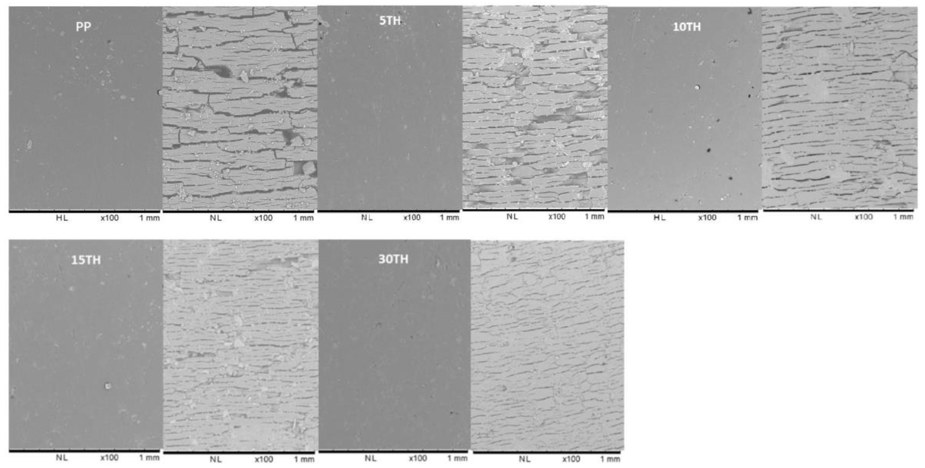 Polymers 11 00102 g006 Polymers 11 00102 g006