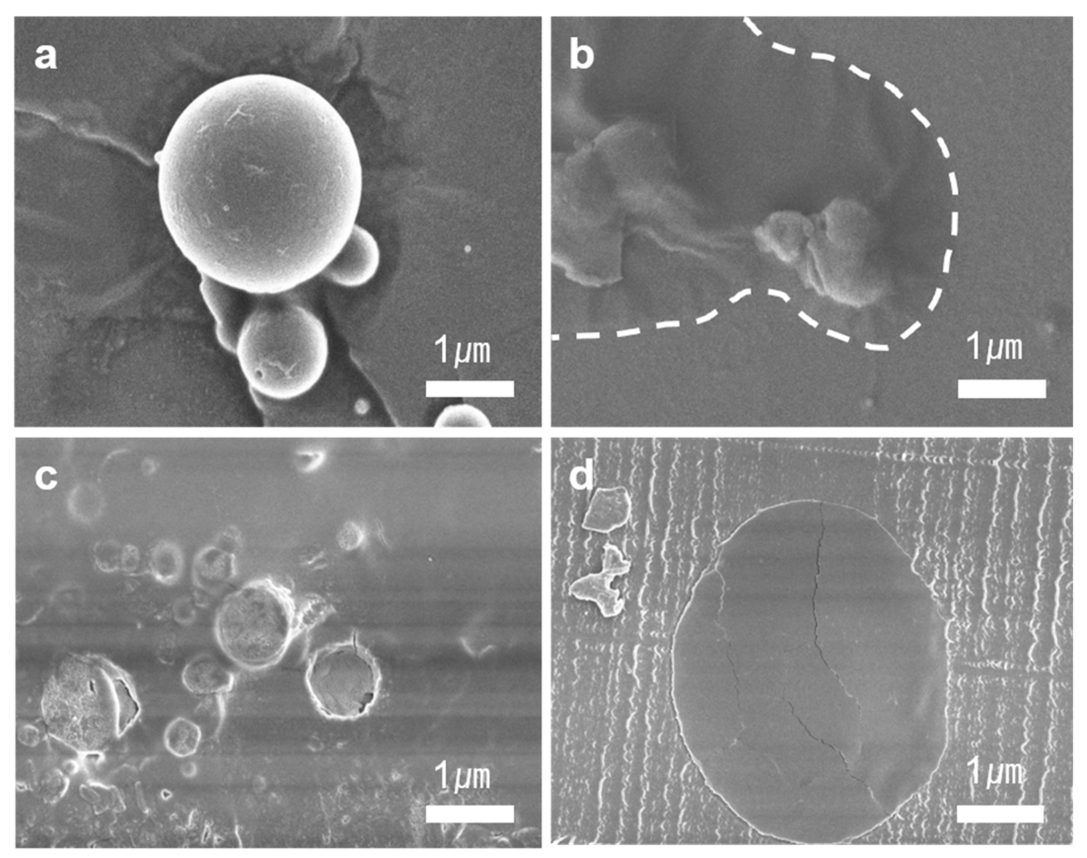 Polymers 11 00104 g003 Polymers 11 00104 g003