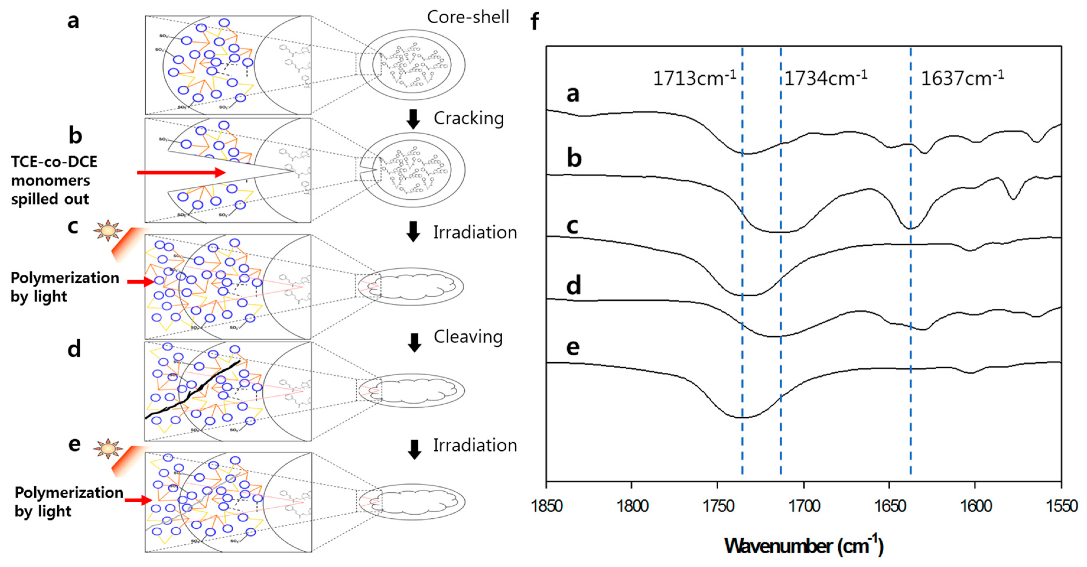 Polymers 11 00104 g005 Polymers 11 00104 g005
