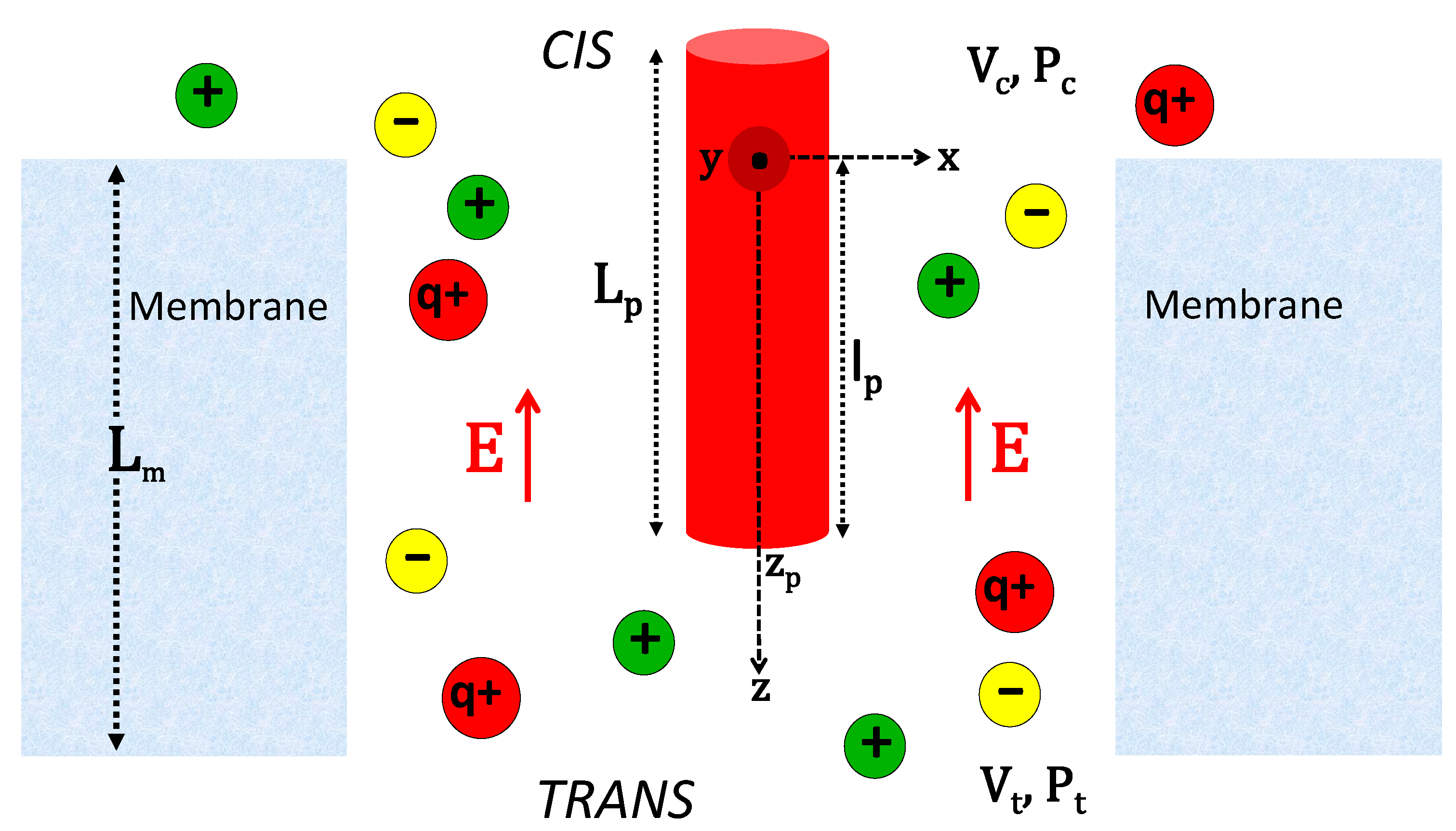 Polymers 11 00118 g001 Polymers 11 00118 g001