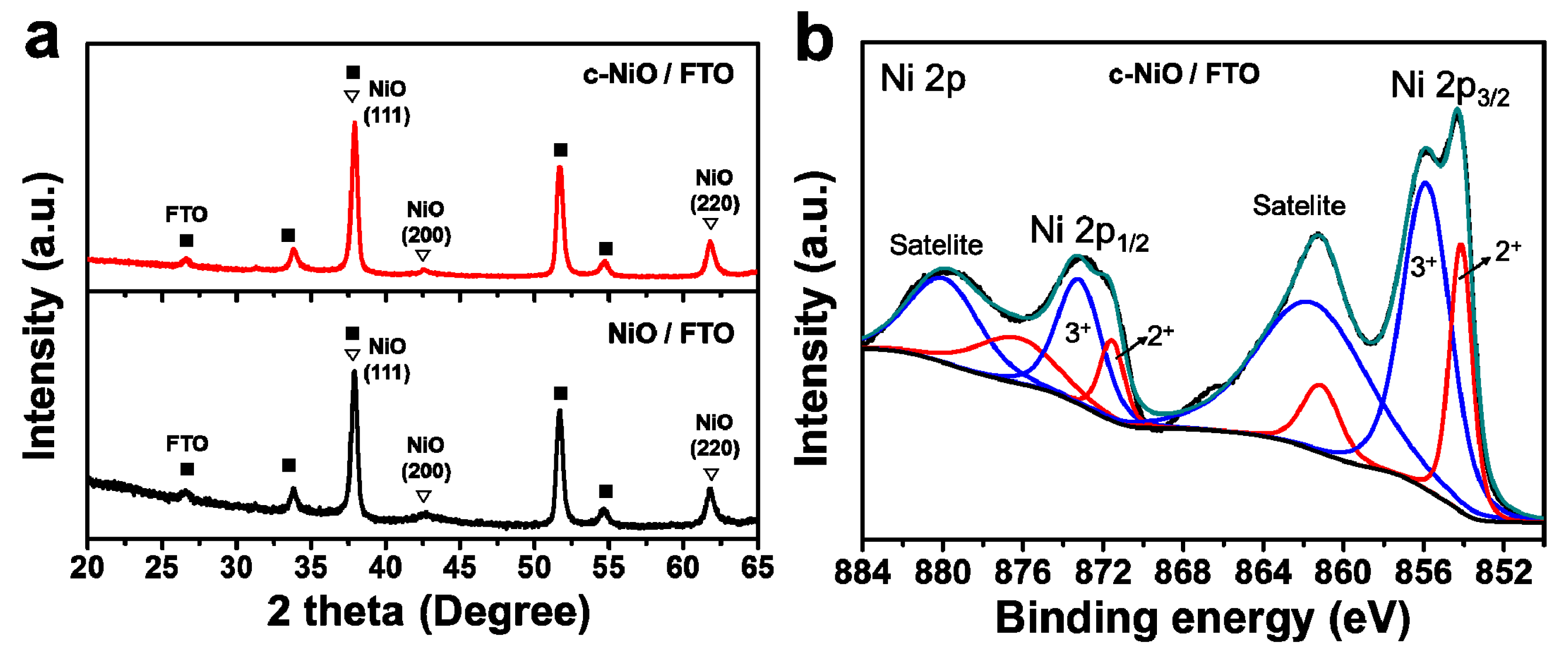Polymers 11 00120 g001