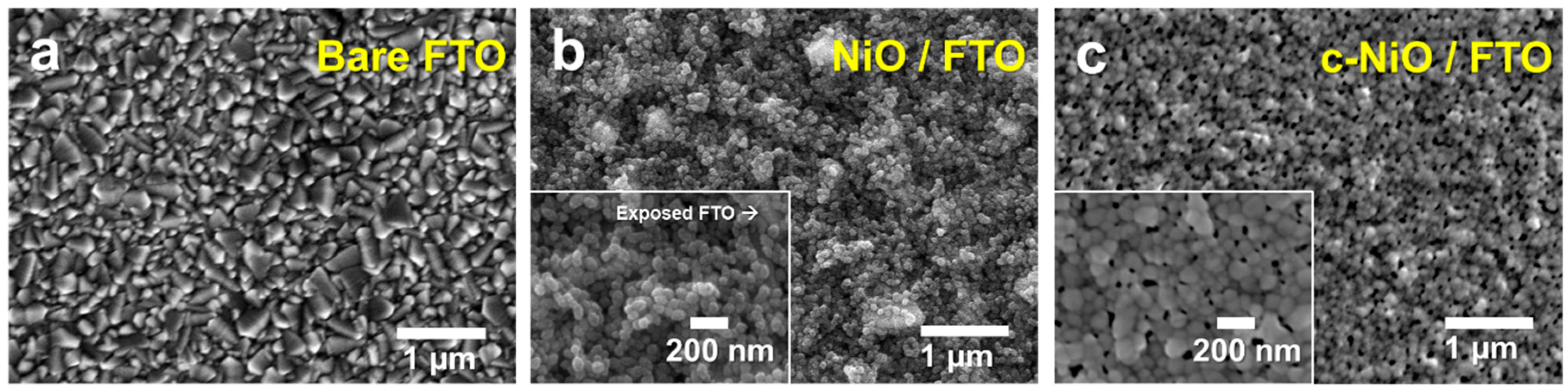 Polymers 11 00120 g002