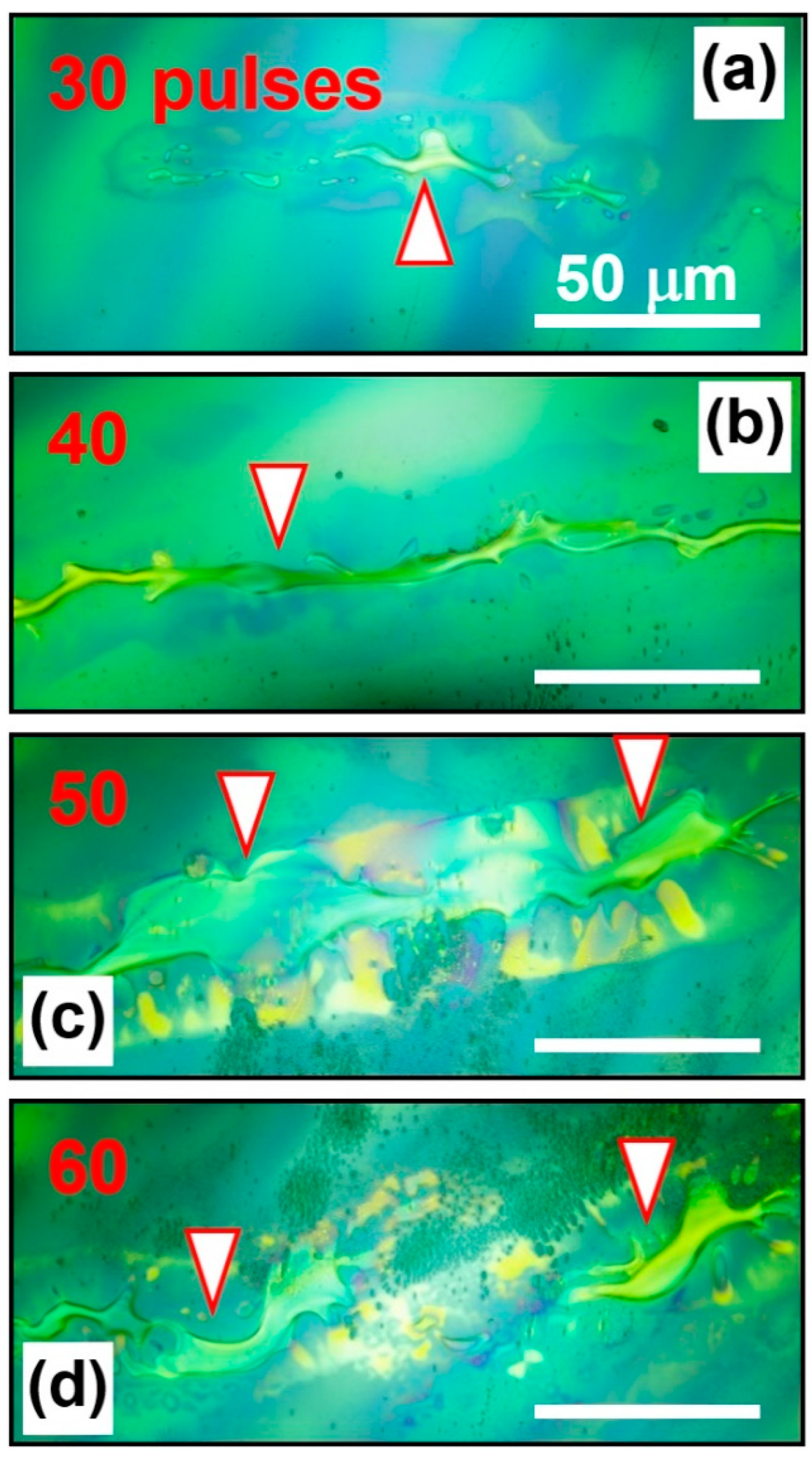 Polymers 11 00128 g002 Polymers 11 00128 g002