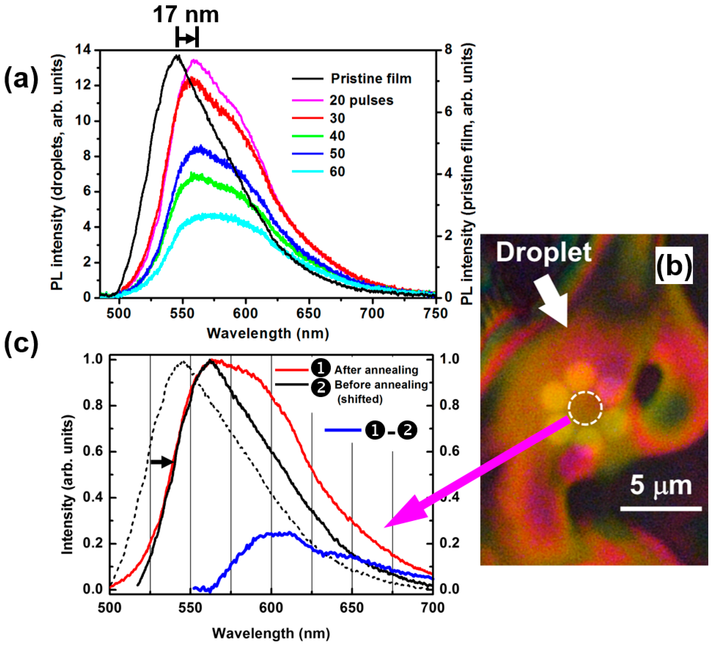 Polymers 11 00128 g006 Polymers 11 00128 g006