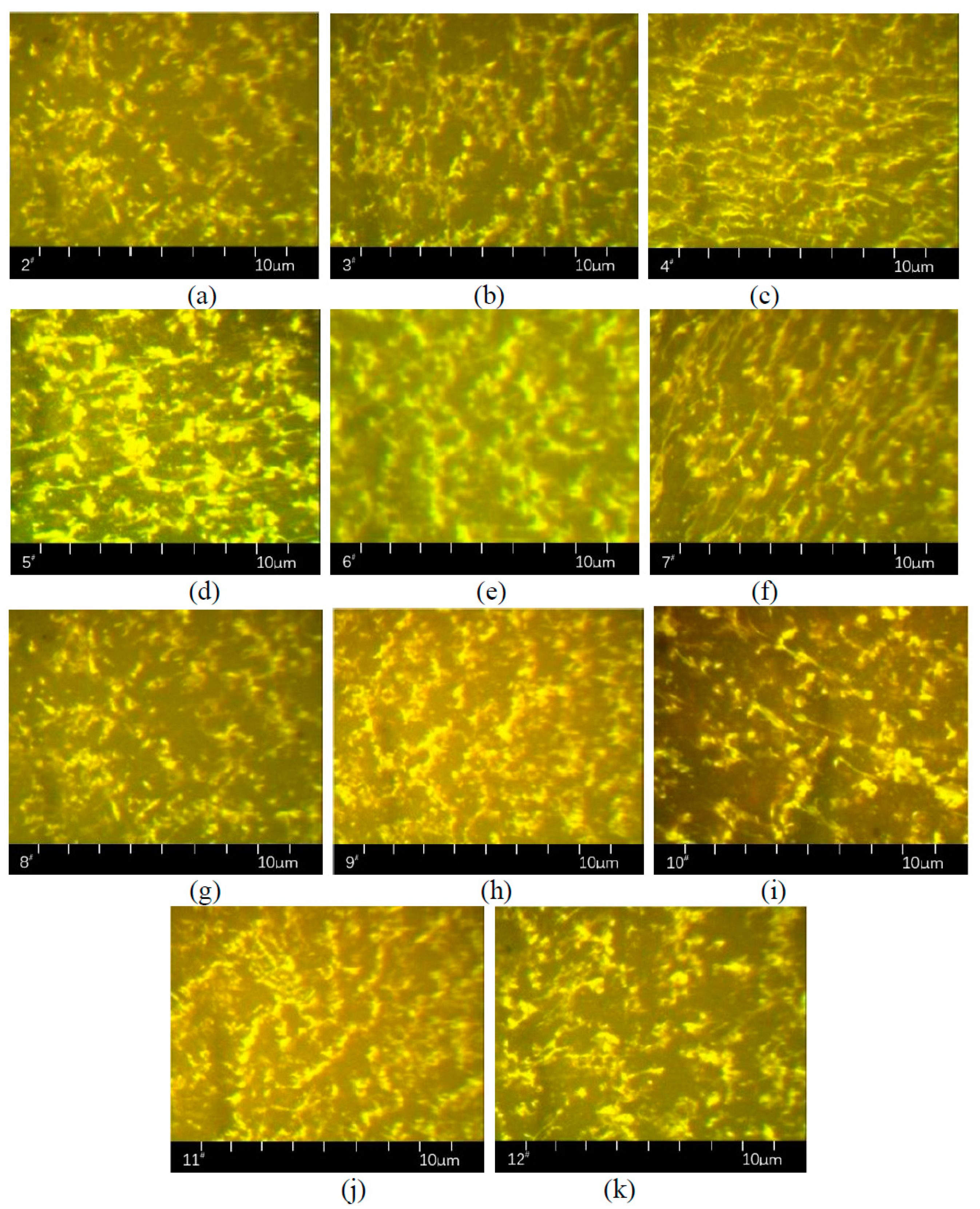 Polymers 11 00140 g005