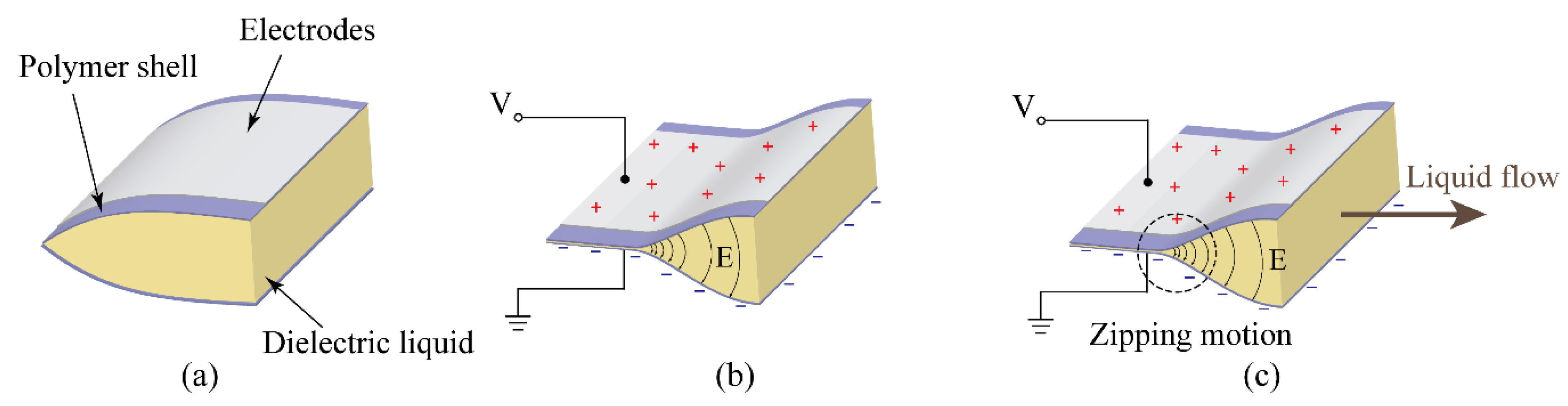 Polymers 11 00142 g001
