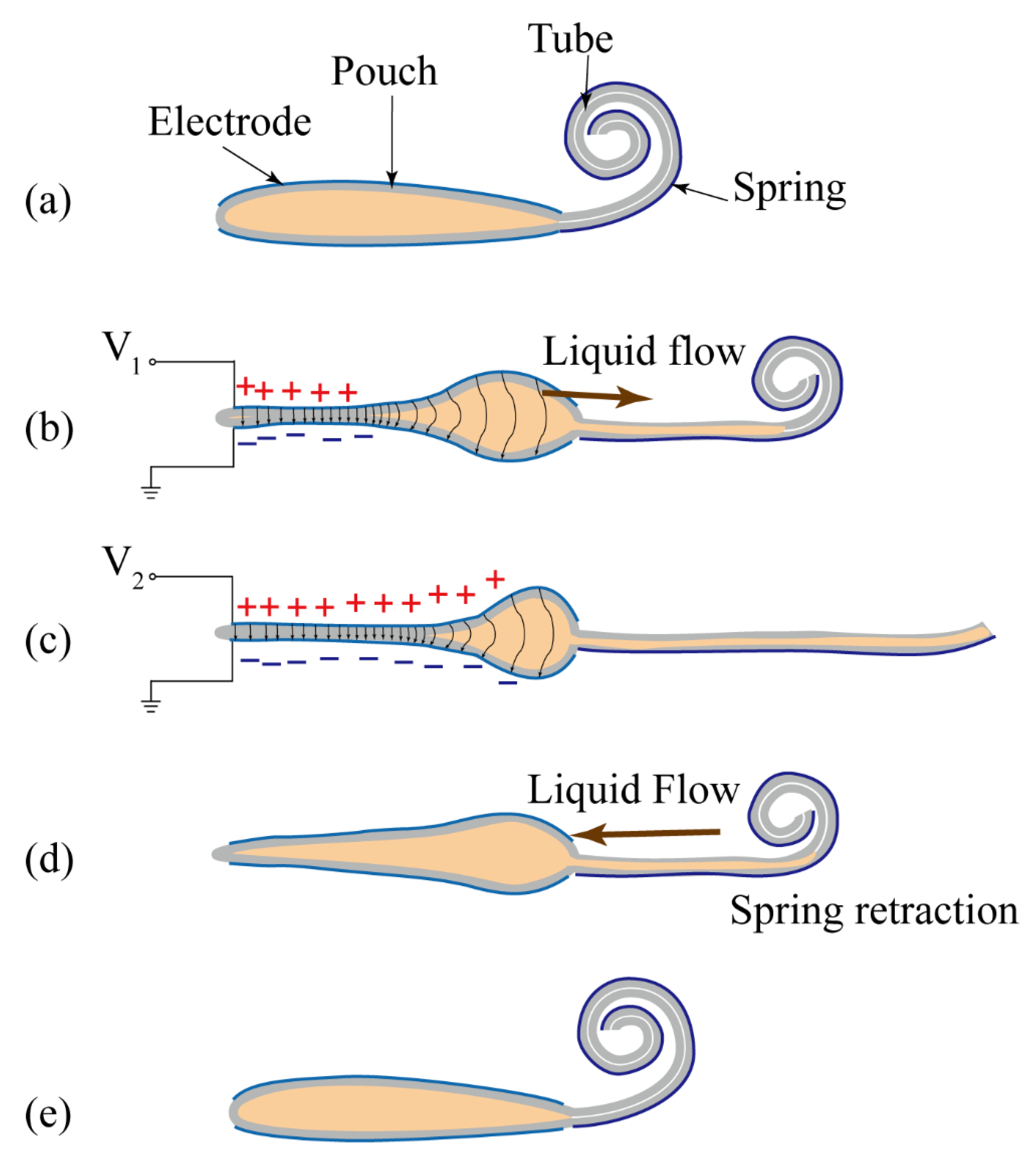 Polymers 11 00142 g002