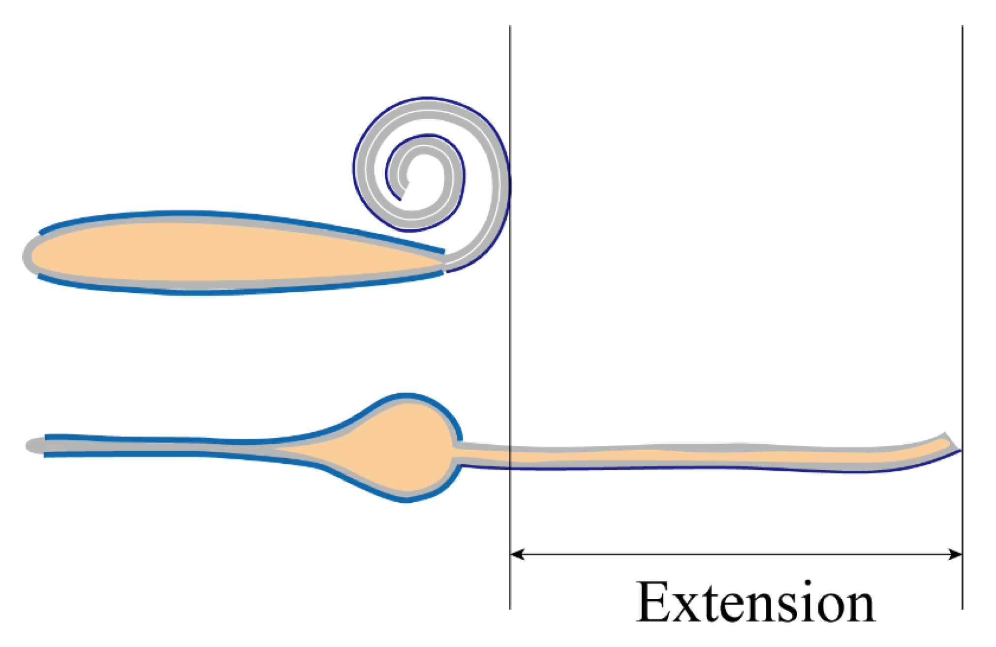 Polymers 11 00142 g010