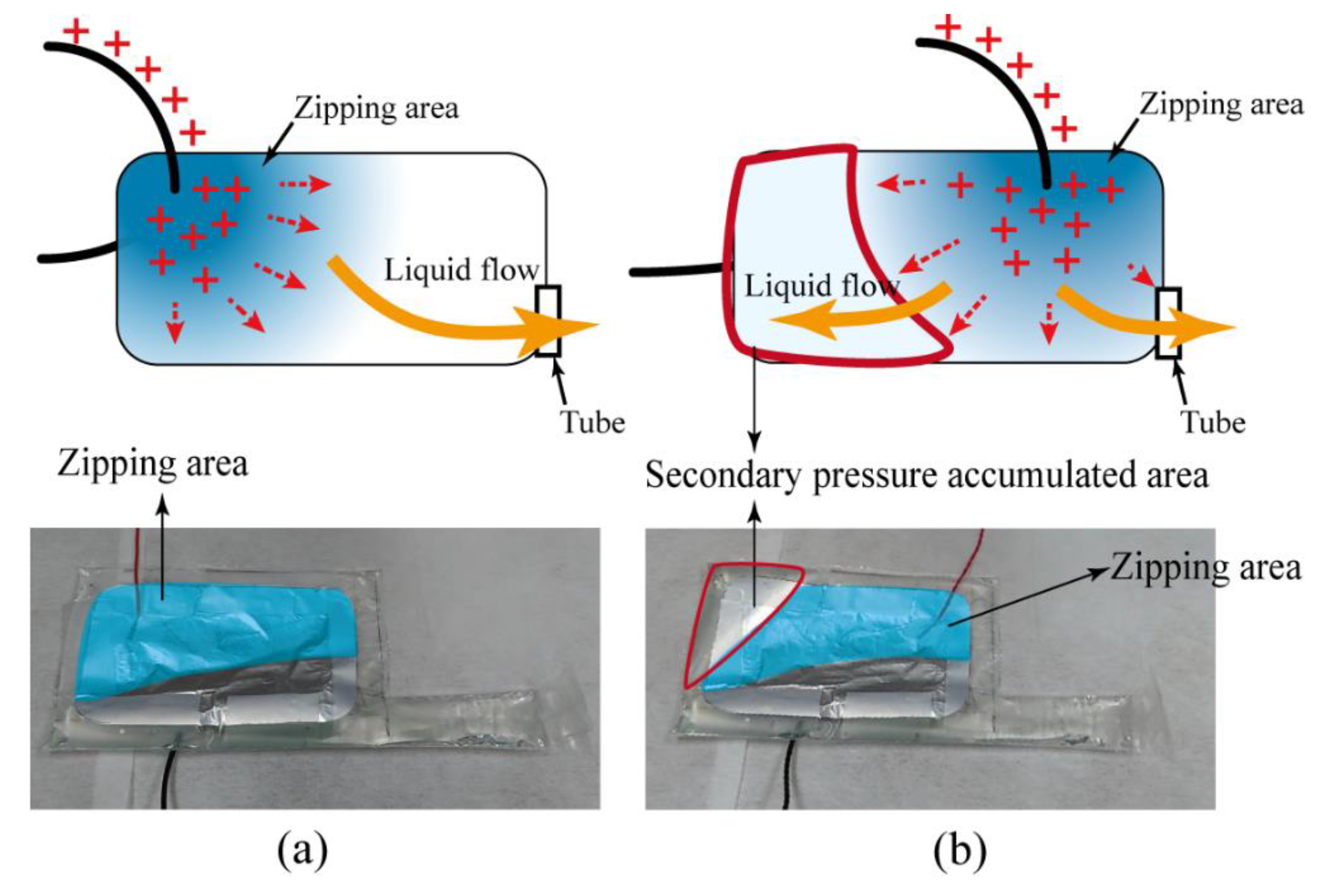 Polymers 11 00142 g012