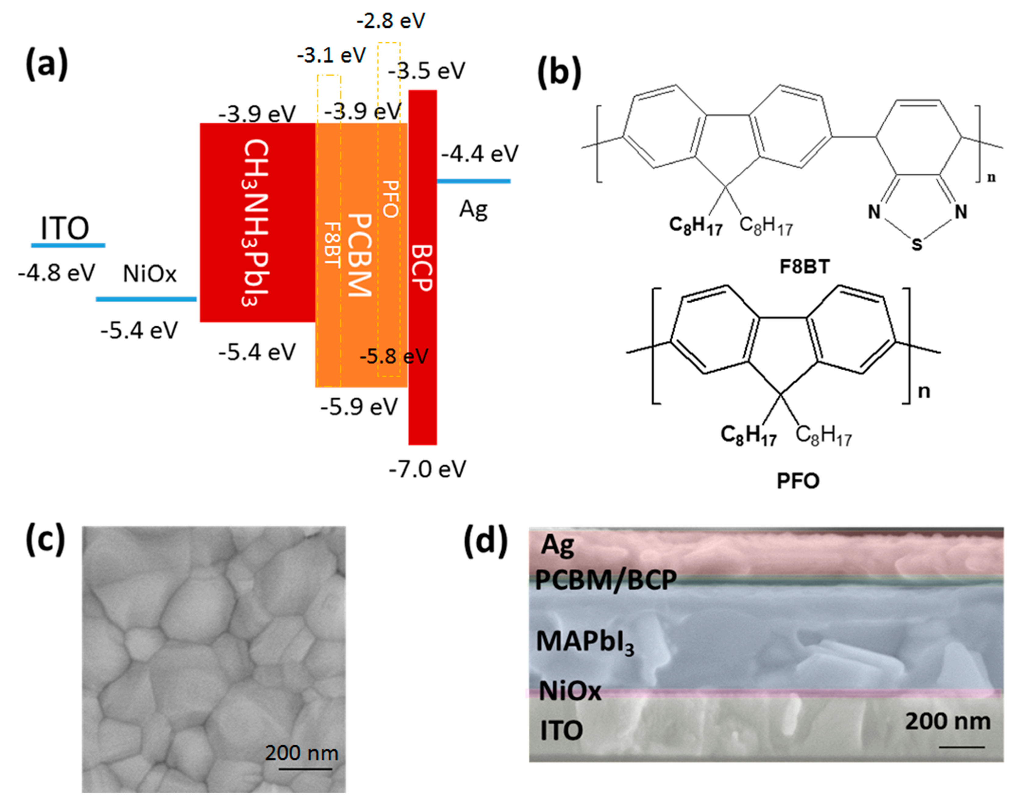 Polymers 11 00147 g001