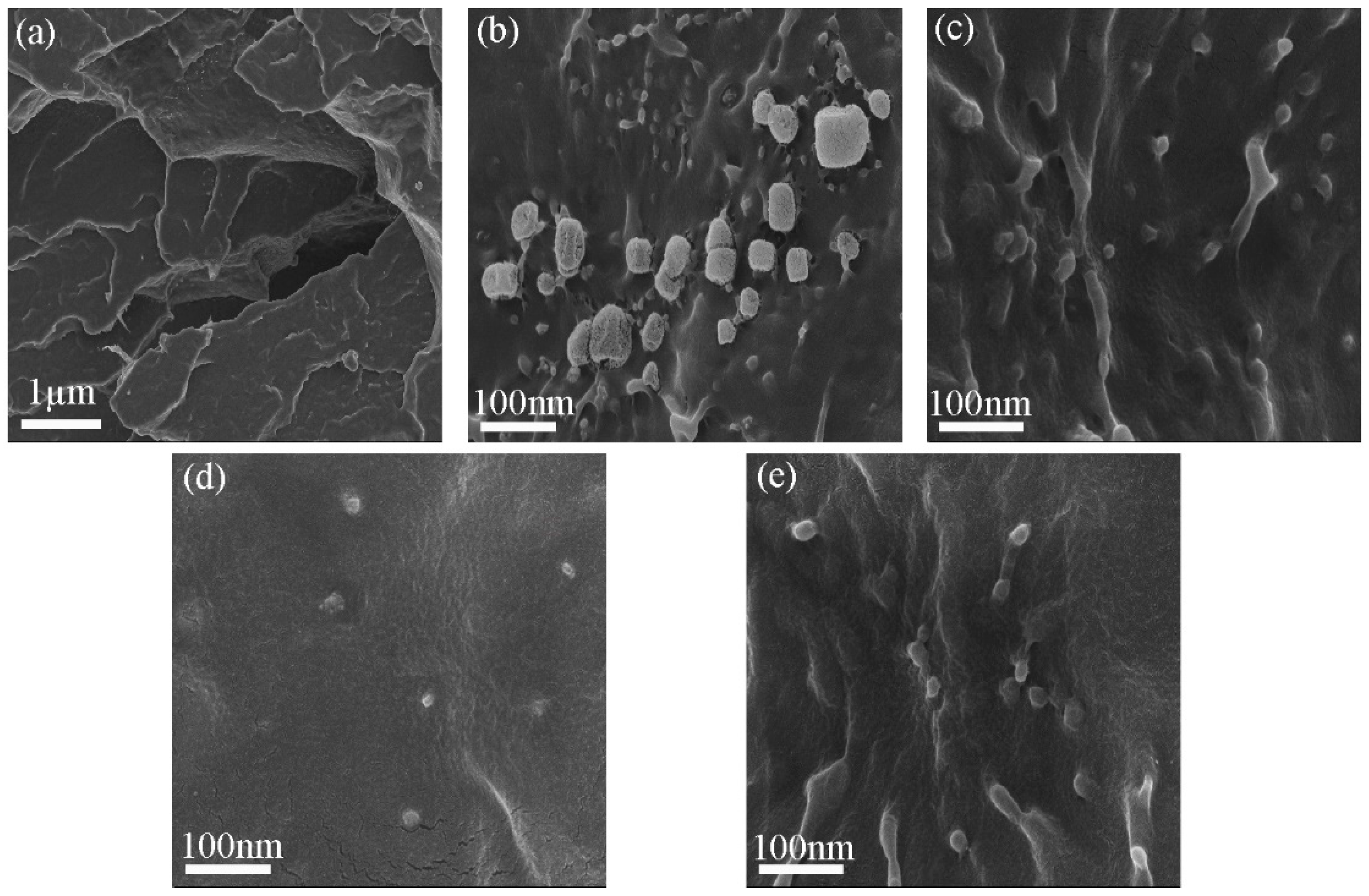 Polymers 11 00148 g004