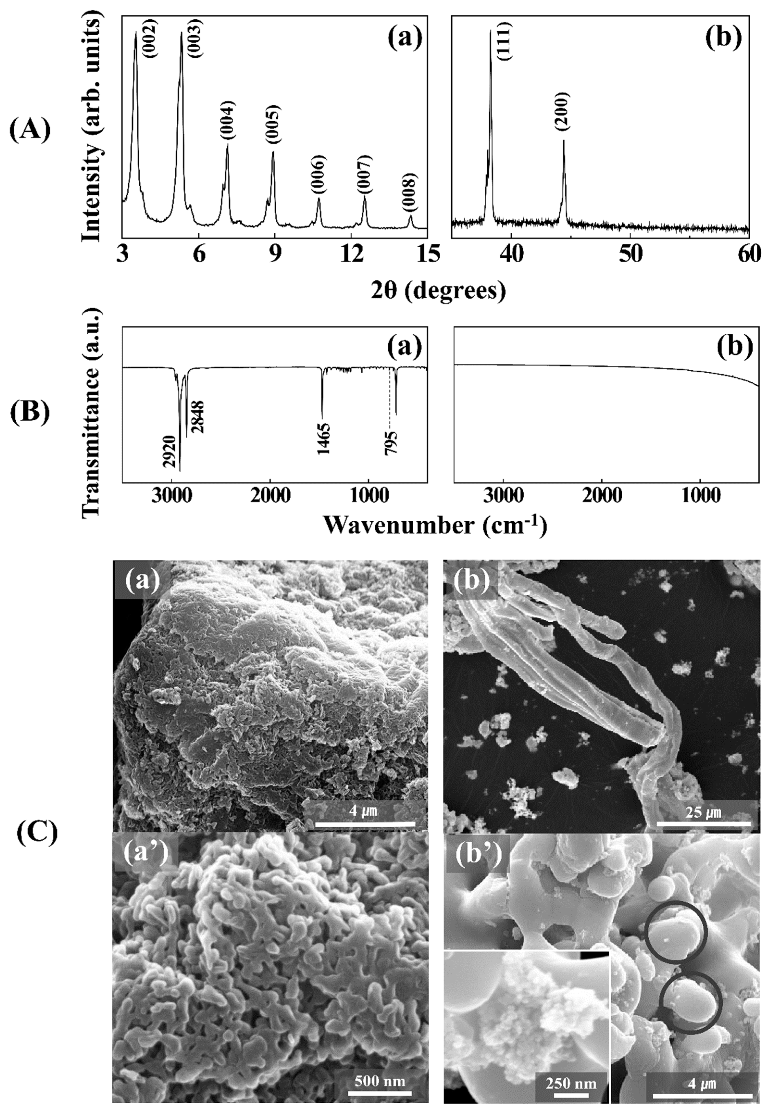 Polymers 11 00155 g001