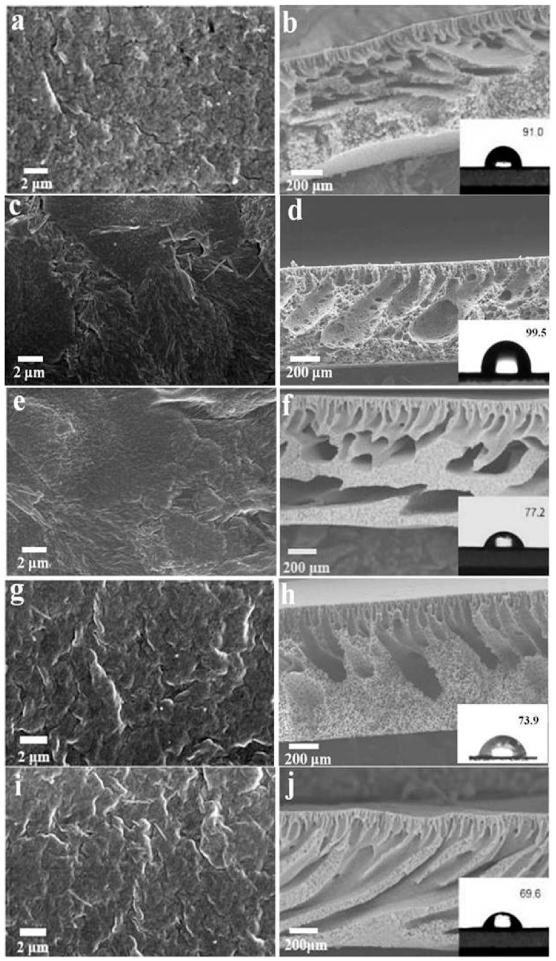 Polymers 11 00156 g006 Polymers 11 00156 g006