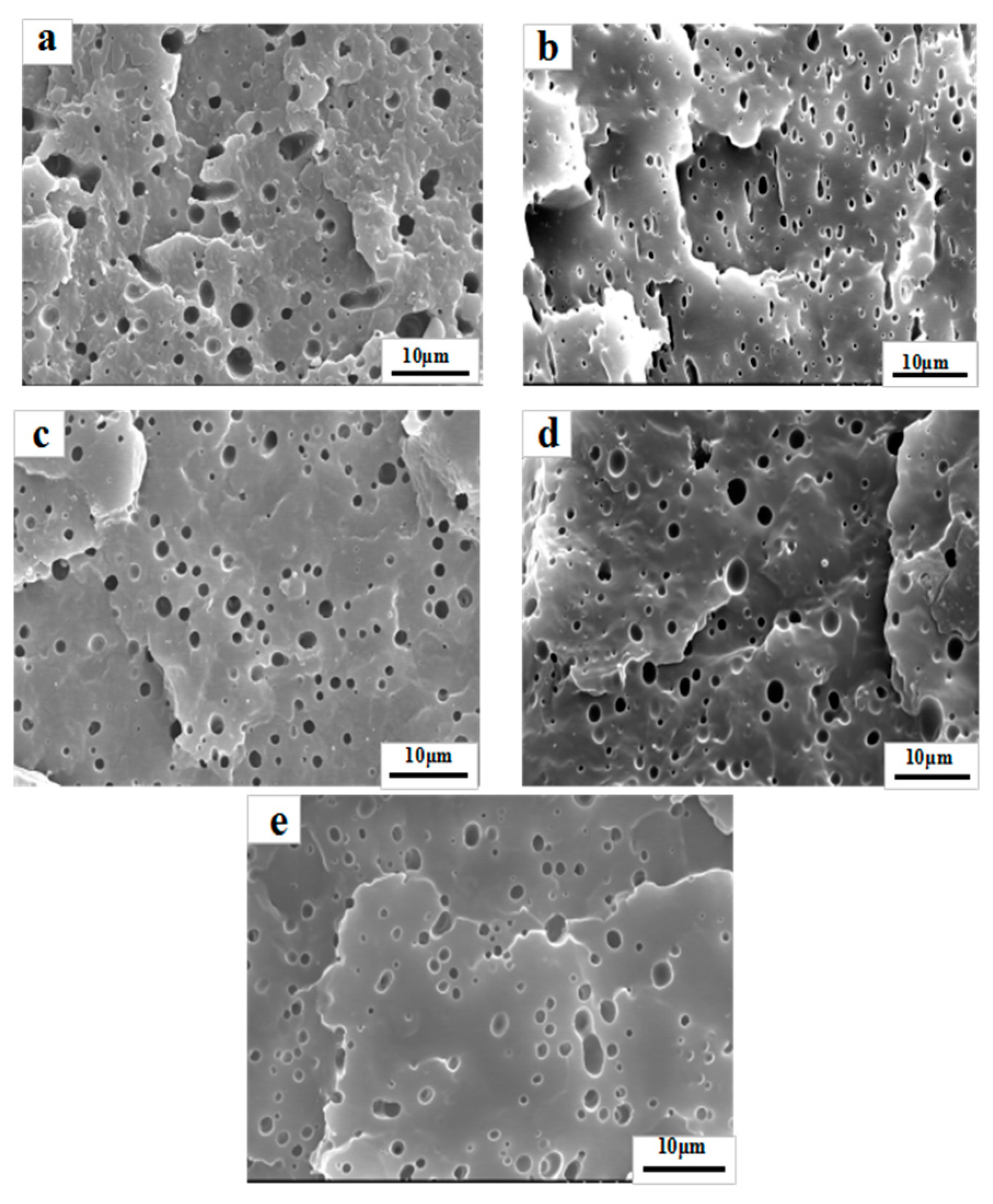 Polymers 11 00157 g004 Polymers 11 00157 g004
