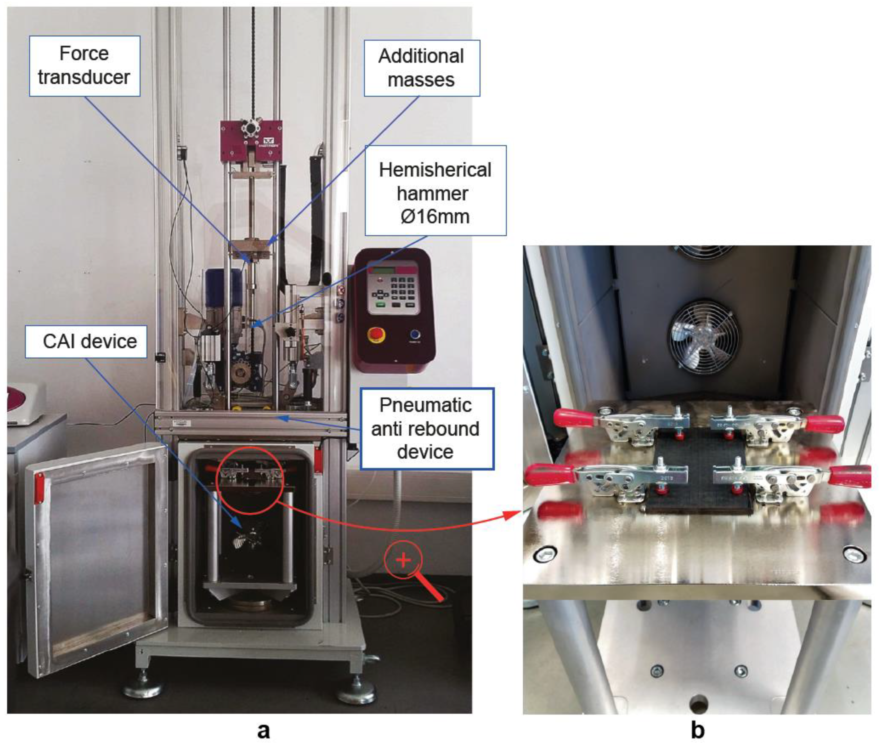 Polymers 11 00160 g002 Polymers 11 00160 g002