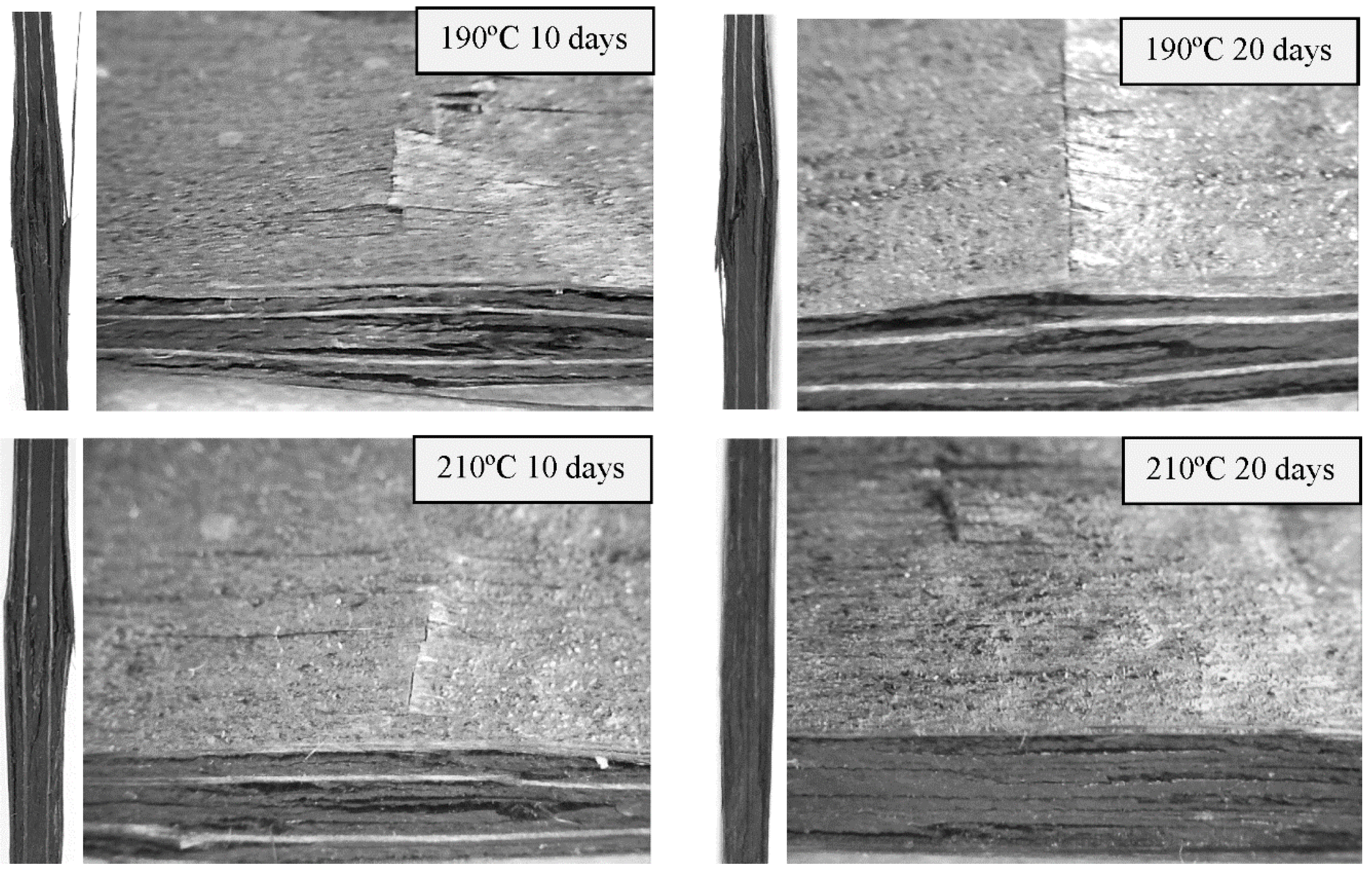 Polymers 11 00160 g009 Polymers 11 00160 g009