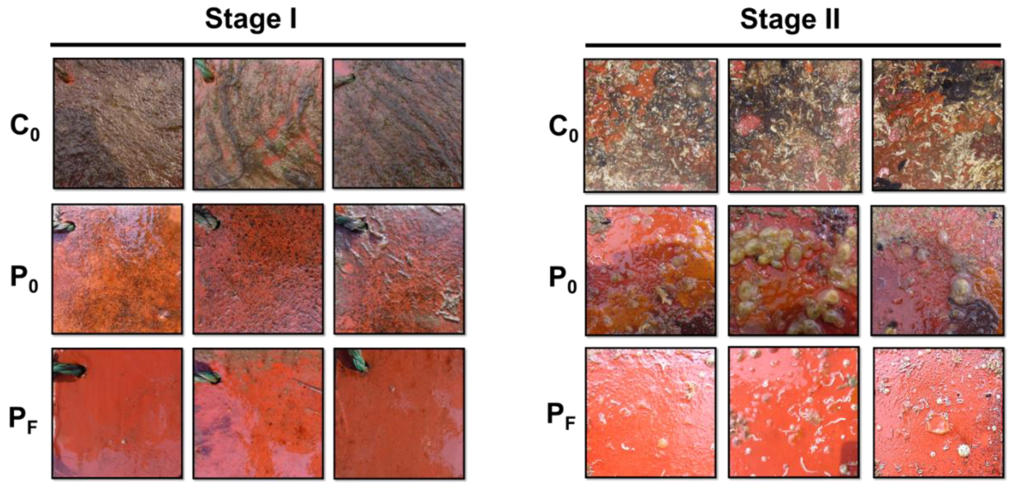 Polymers 11 00161 g002