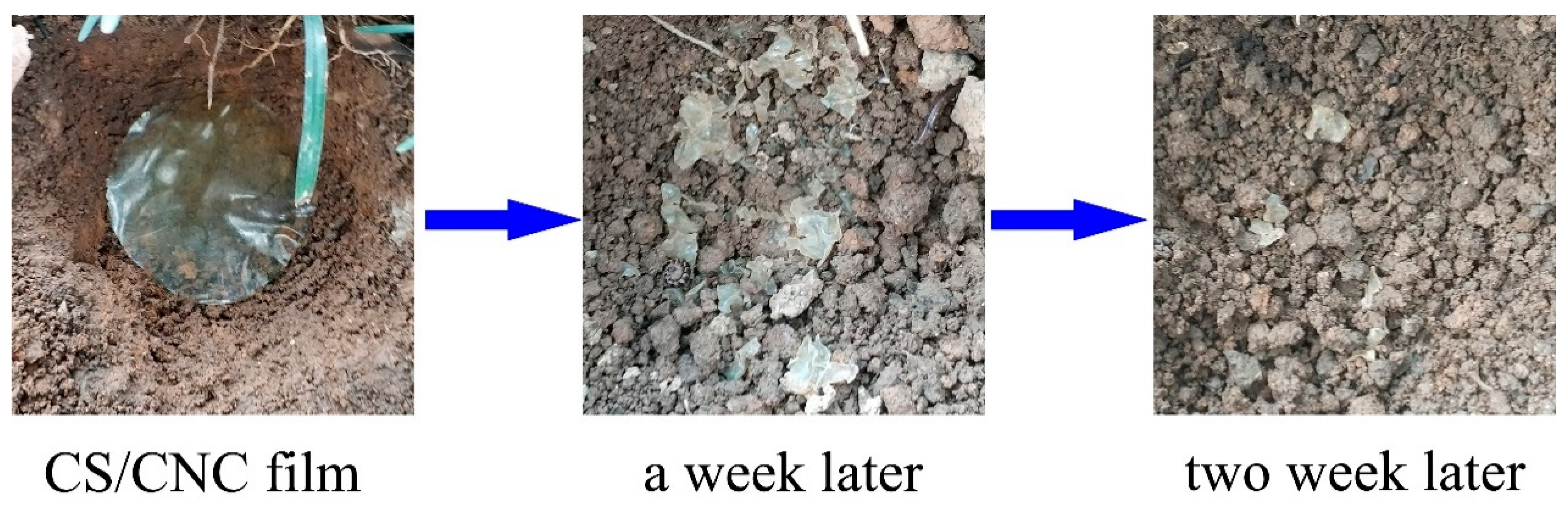 Polymers 11 00166 g015 Polymers 11 00166 g015